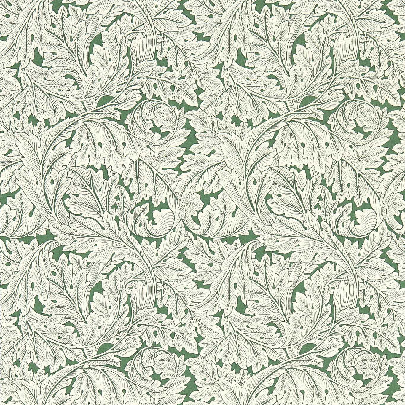 Acanthus Wallpaper - Sage - Clarke & Clarke - W0175/01