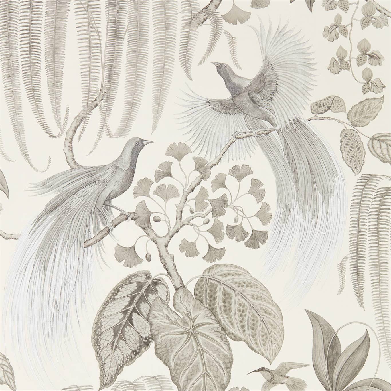 Bird Of Paradise Wallpaper - Linen - DGLW216652