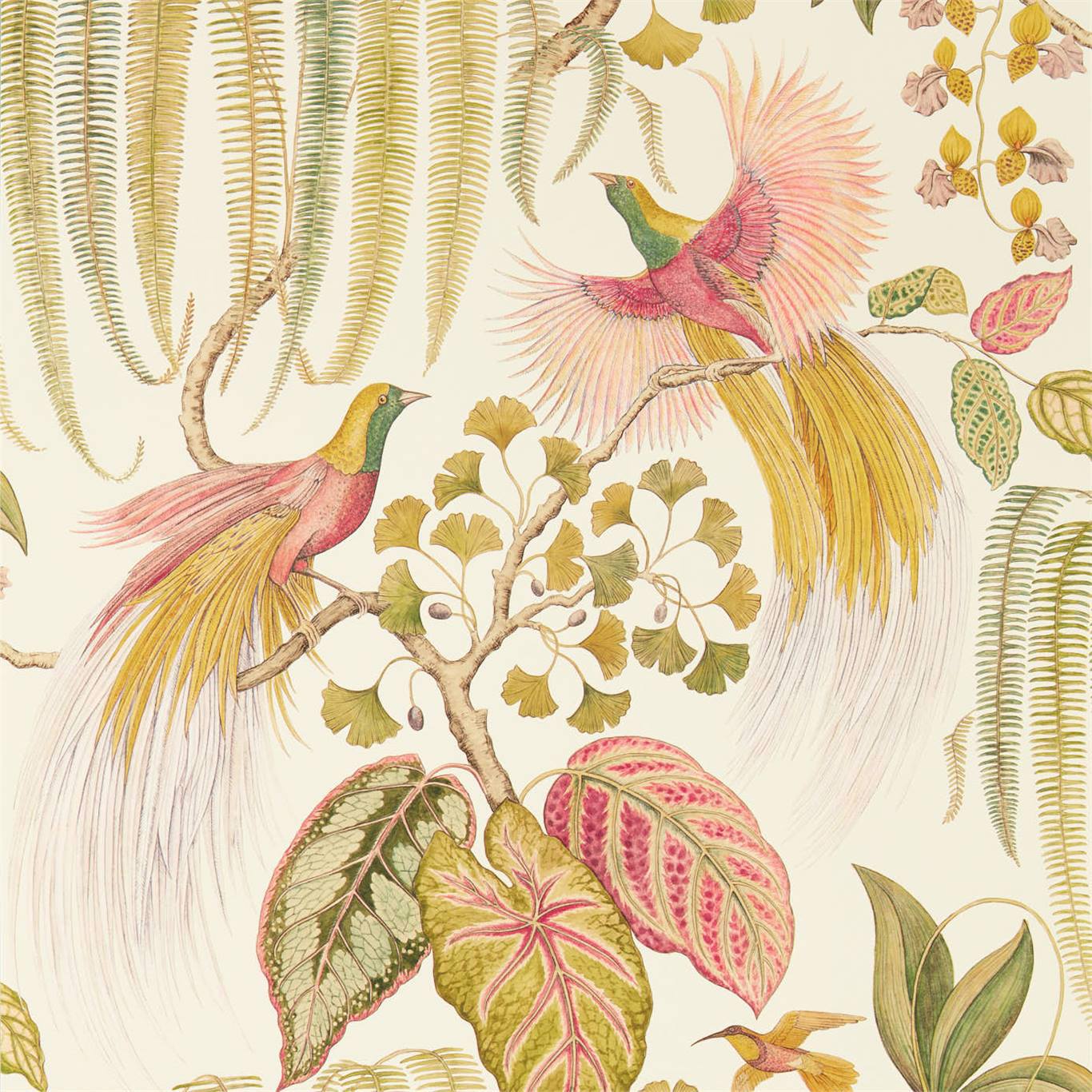 Bird Of Paradise Wallpaper - Olive - DGLW216653