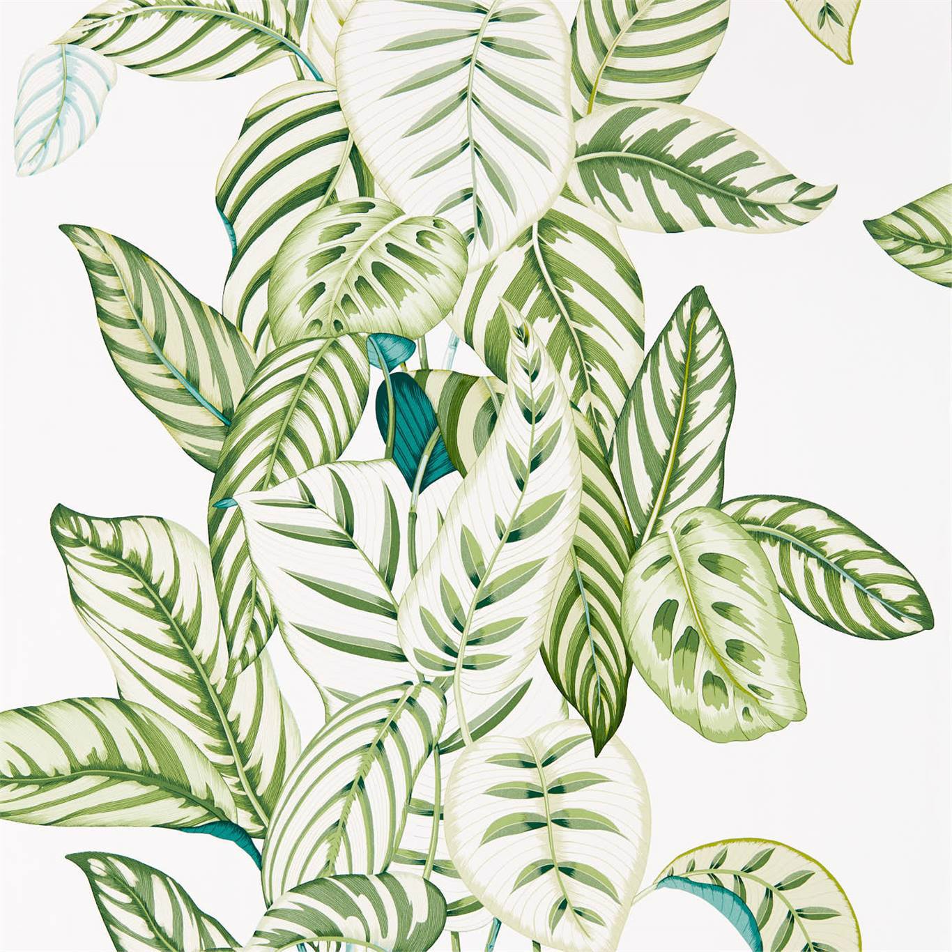 Calathea Wallpaper - Botanical Green - Sanderson - DGLW216630