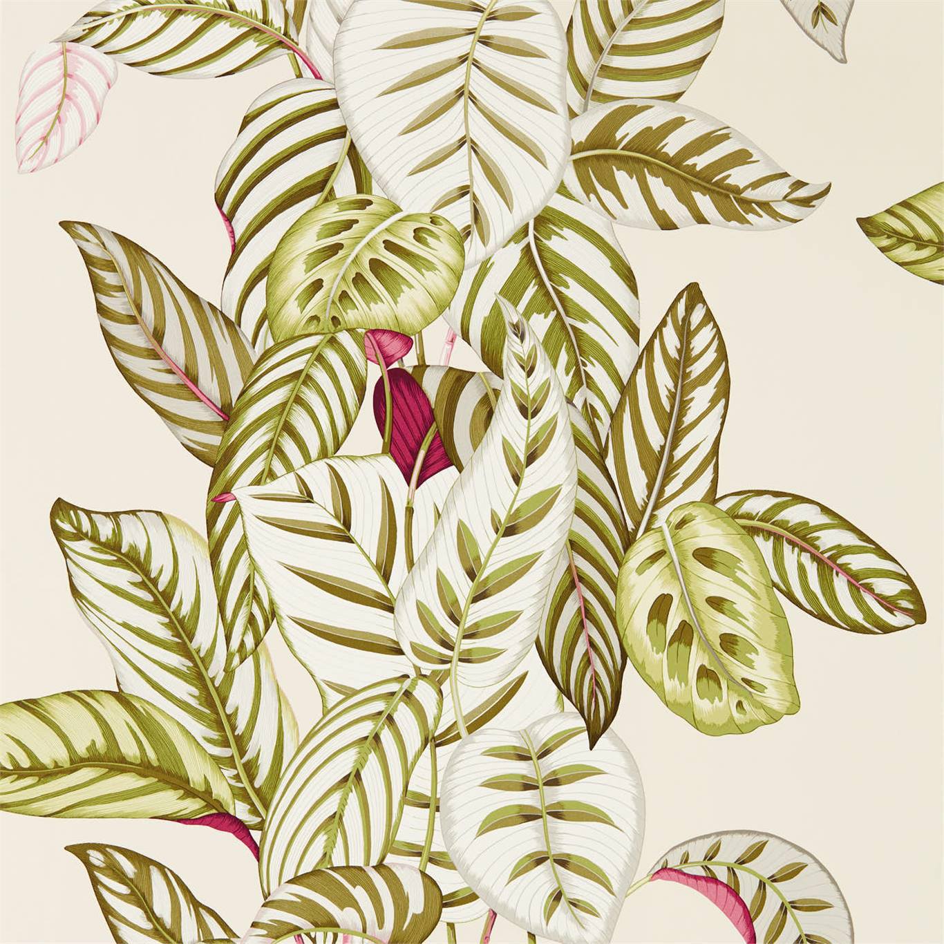 Calathea Wallpaper - Olive - DGLW216631