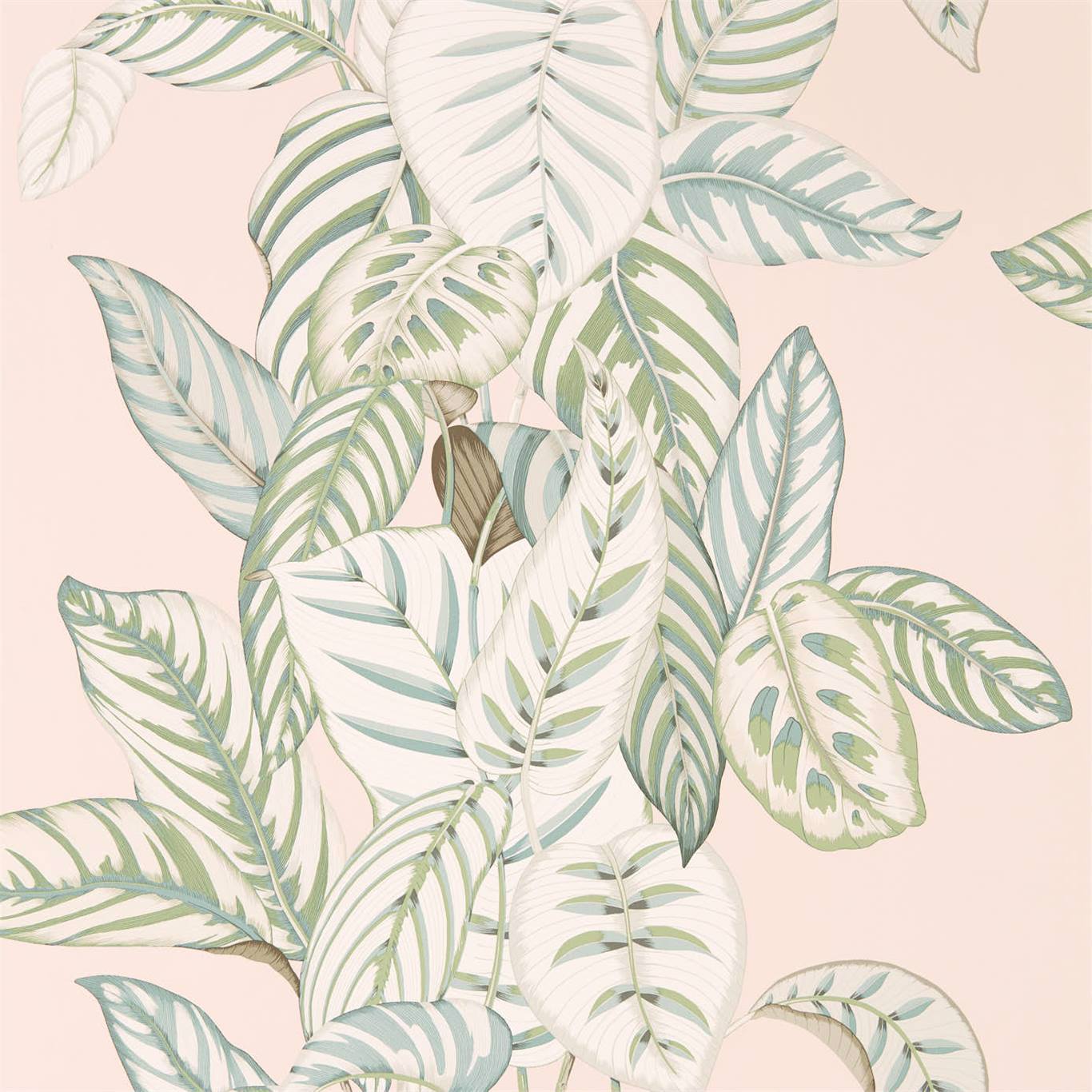 Calathea Wallpaper - Orchid/Eucalyptus - DGLW216632