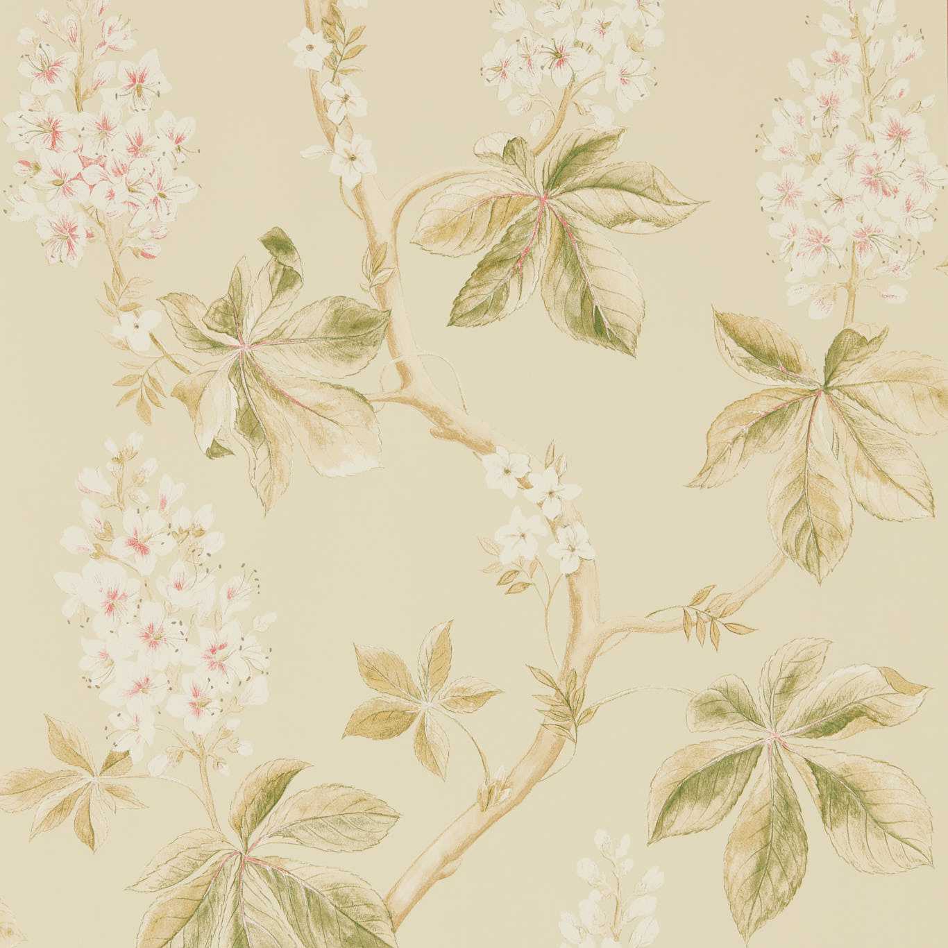 Chestnut Tree Wallpaper - Coral/Bayleaf - DWOW215709