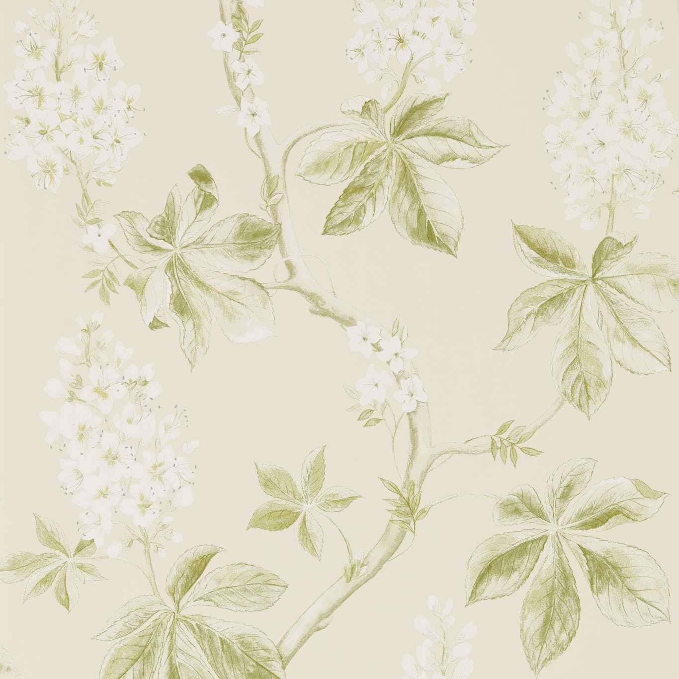 Chestnut Tree Wallpaper - Lemon/Lettuce - DWOW215707