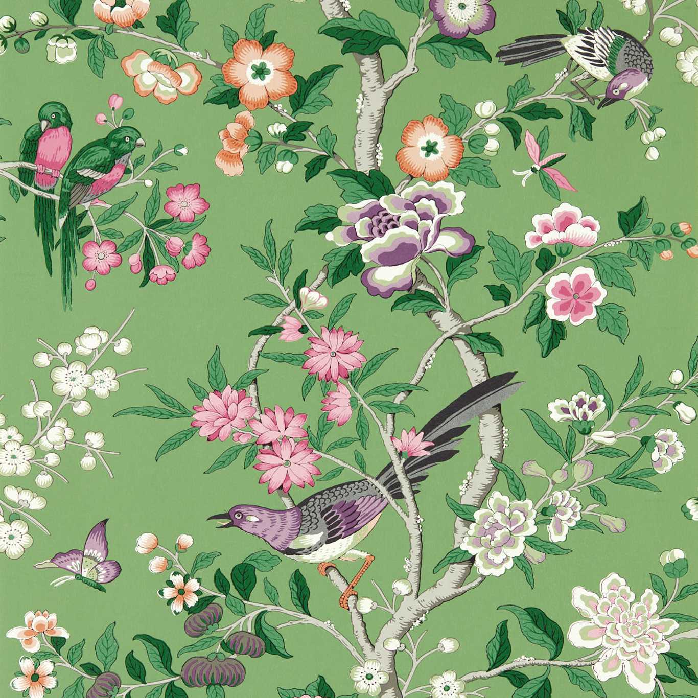 Chinoiserie Hall Wallpaper - Chinese Green/Lotus Pink - DWAW217110