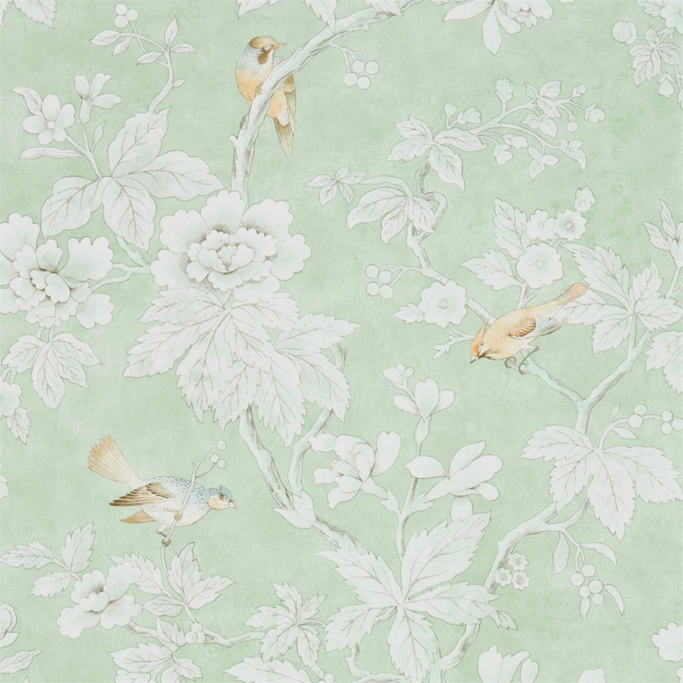 Chiswick Grove Wallpaper - Sage - DDAM216387