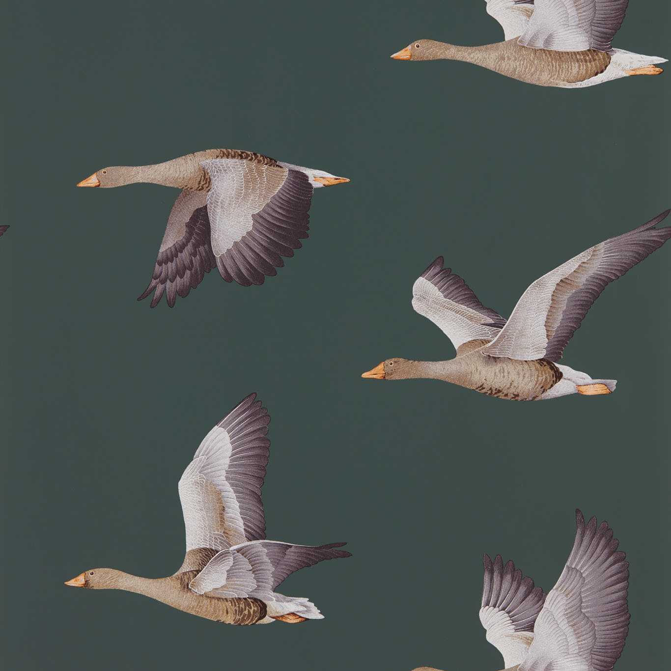Elysian Geese Wallpaper - Amsterdam Green - DYSI216608