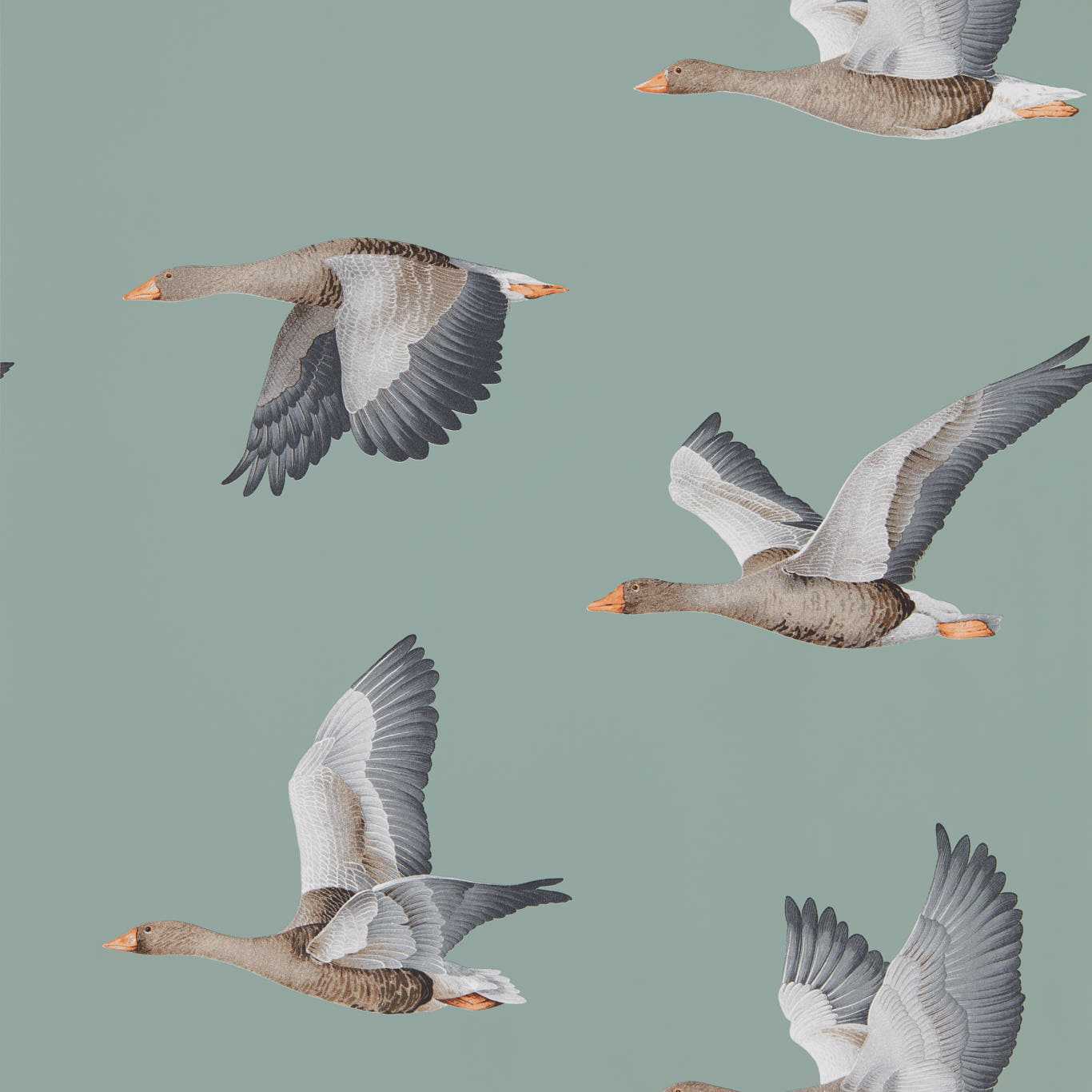 Elysian Geese Wallpaper - Blue Clay - DYSI216610