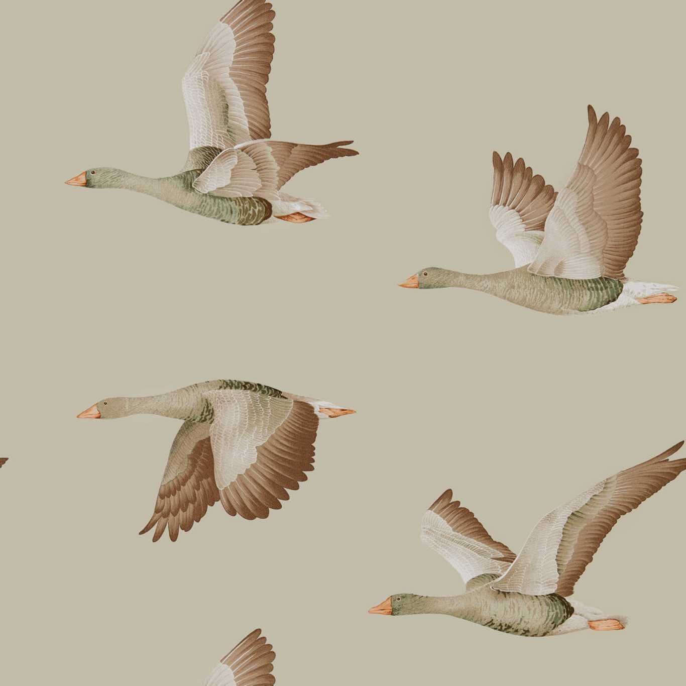 Elysian Geese Wallpaper - Briarwood - DYSI216609