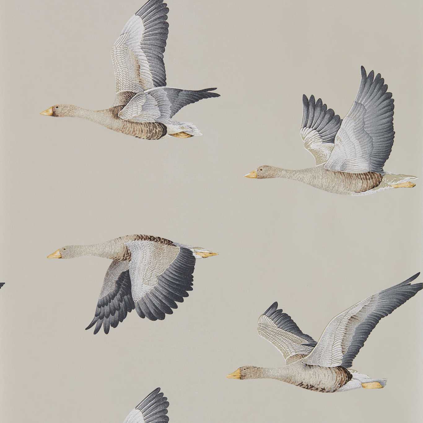 Elysian Geese Wallpaper - Gilver - DYSI216611