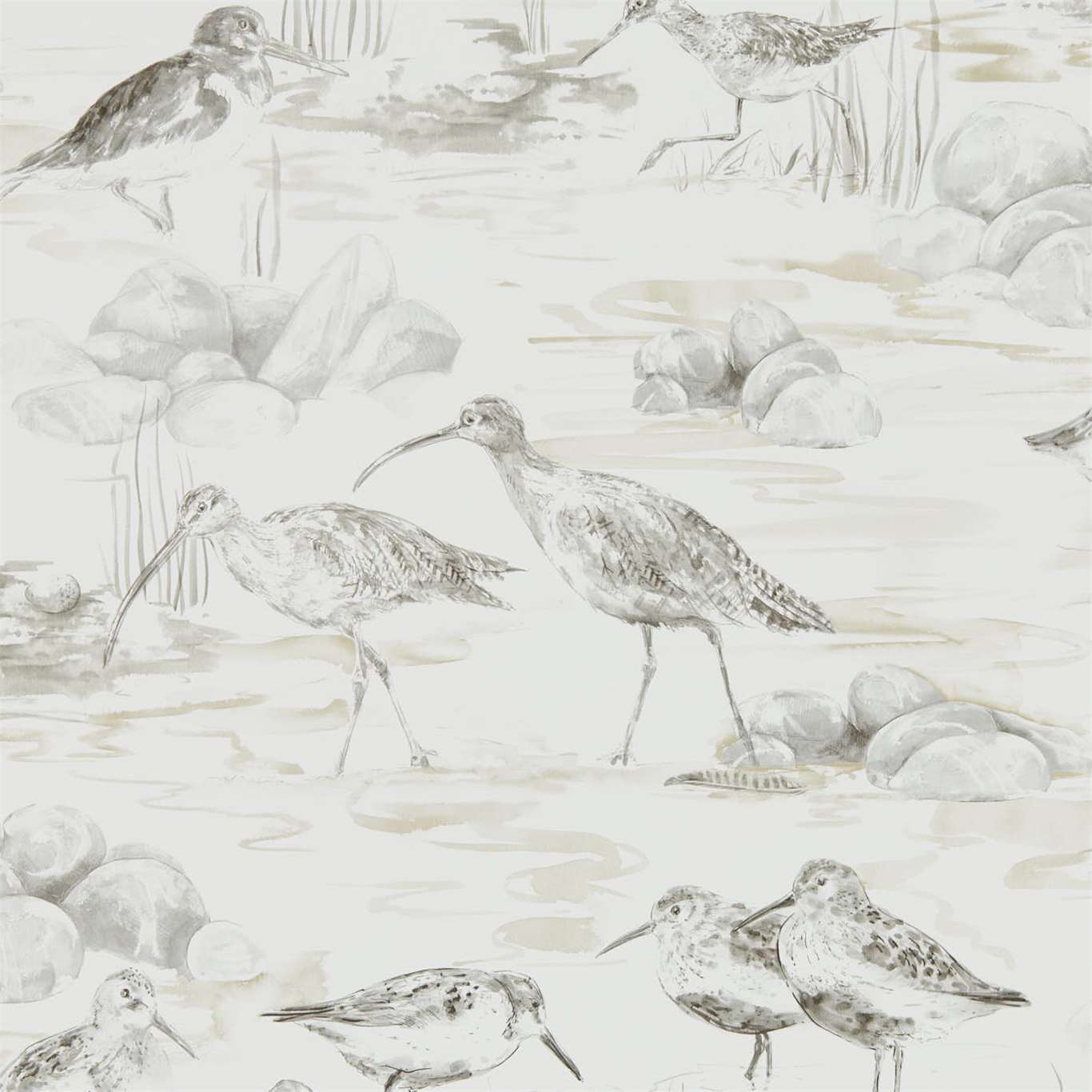 Estuary Birds Wallpaper - Chalk/Sepia - DEBB216493