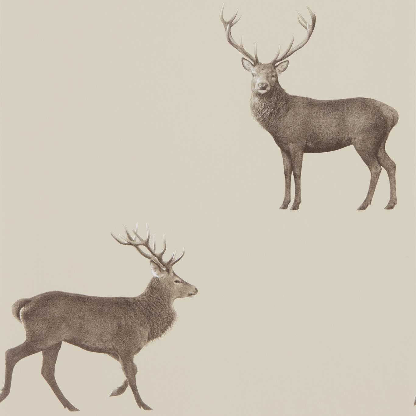 Evesham Deer Wallpaper - Birch - DYSI216618