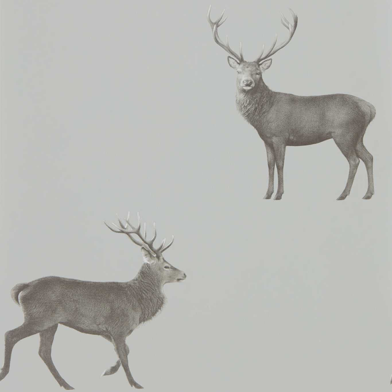 Evesham Deer Wallpaper - Silver Grey - DYSI216619