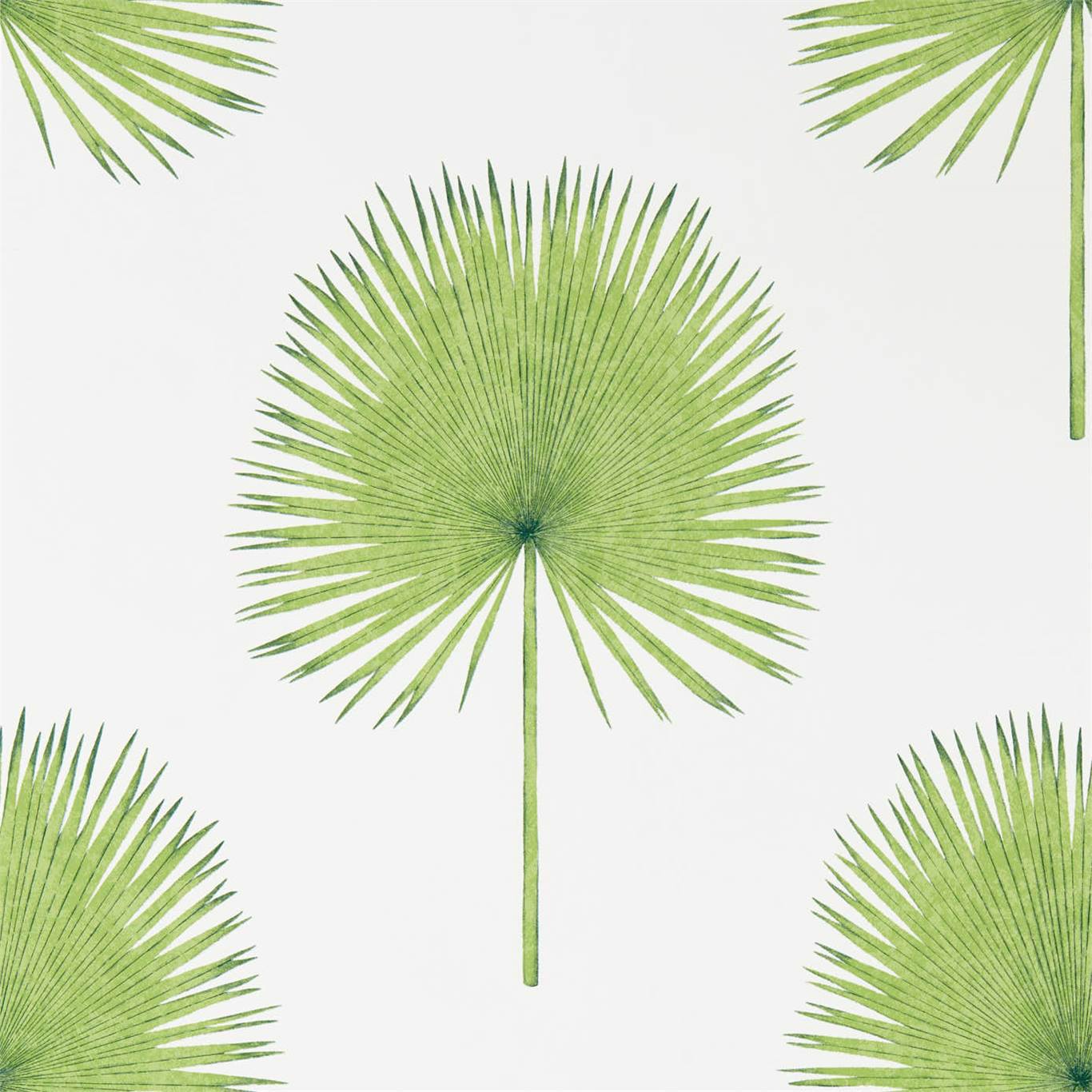 Fan Palm Wallpaper - Botanical Green - DGLW216636