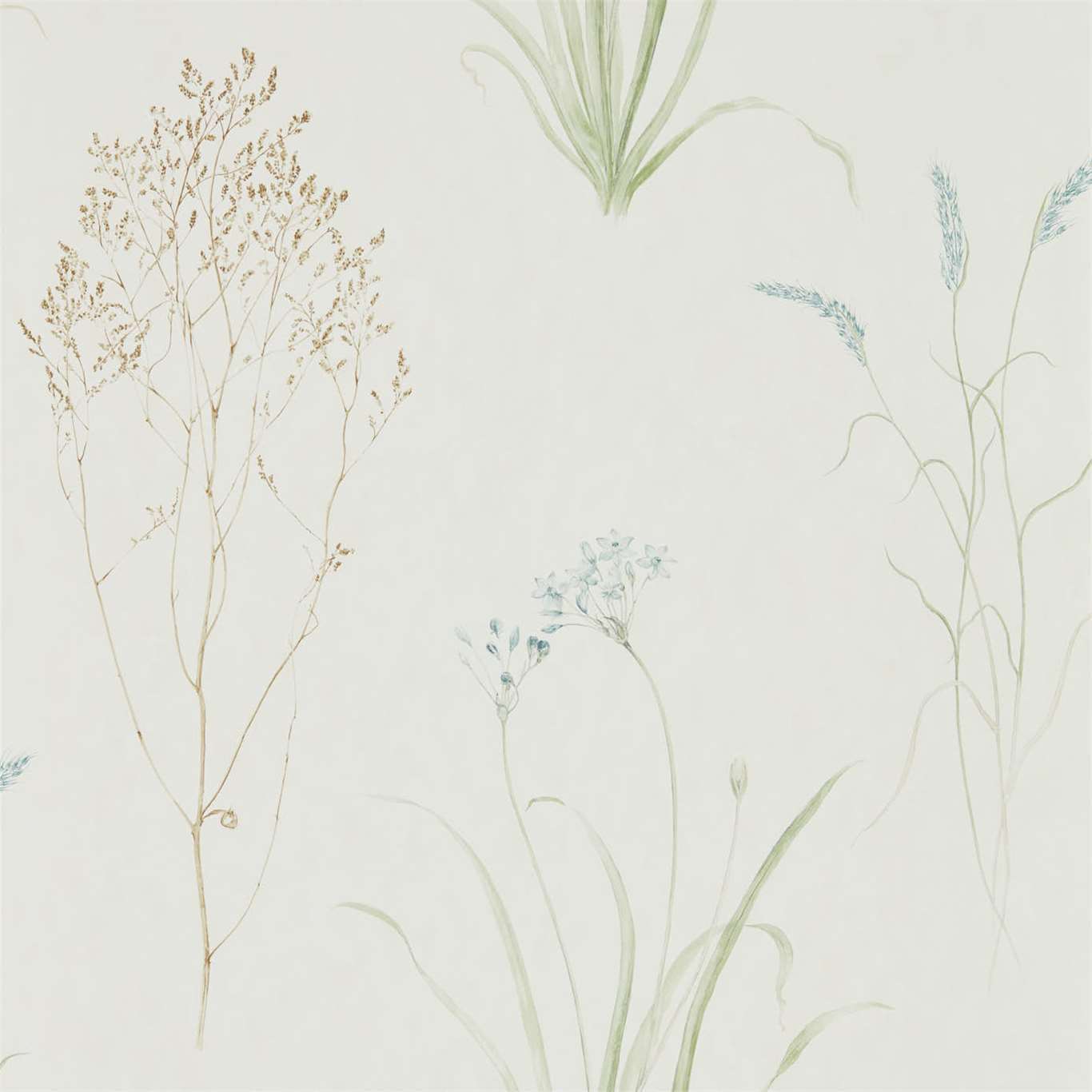 Farne Grasses Wallpaper - Cream/Sage - DEBB216486
