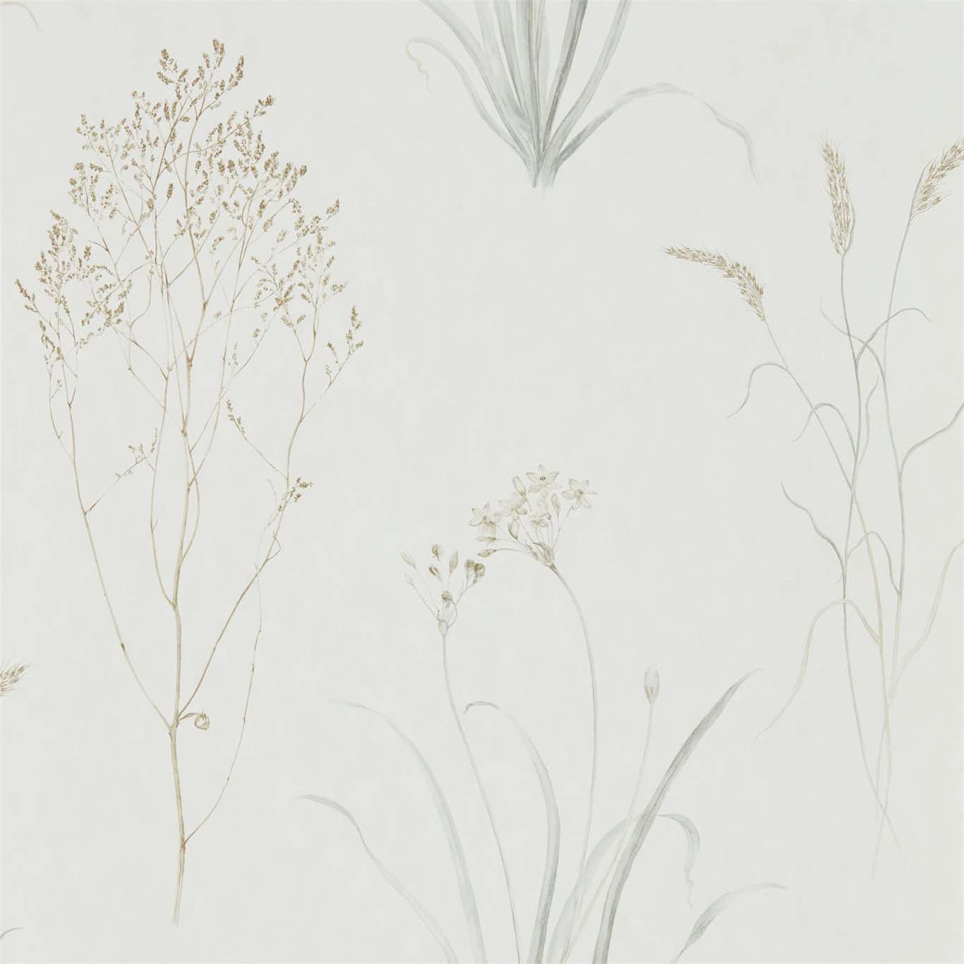 Farne Grasses Wallpaper - Silver/Ivory - DEBB216487
