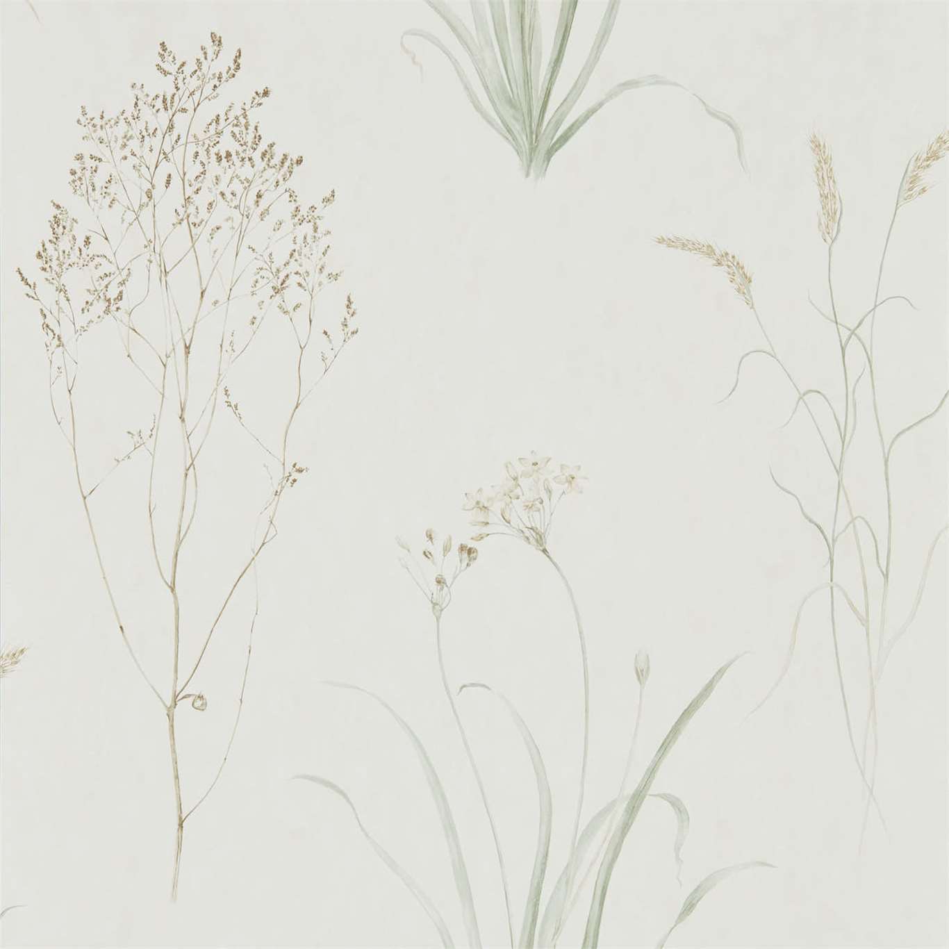 Farne Grasses Wallpaper - Willow/Pebble - DEBB216488
