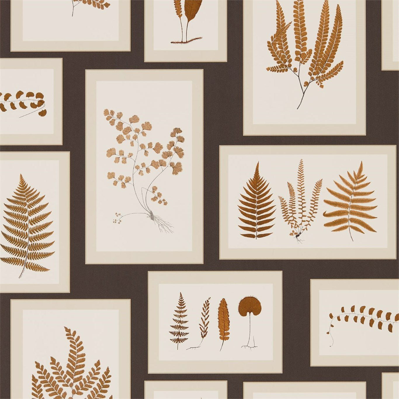 Fern Gallery Wallpaper - Charcoal/Spice - DWOW215713
