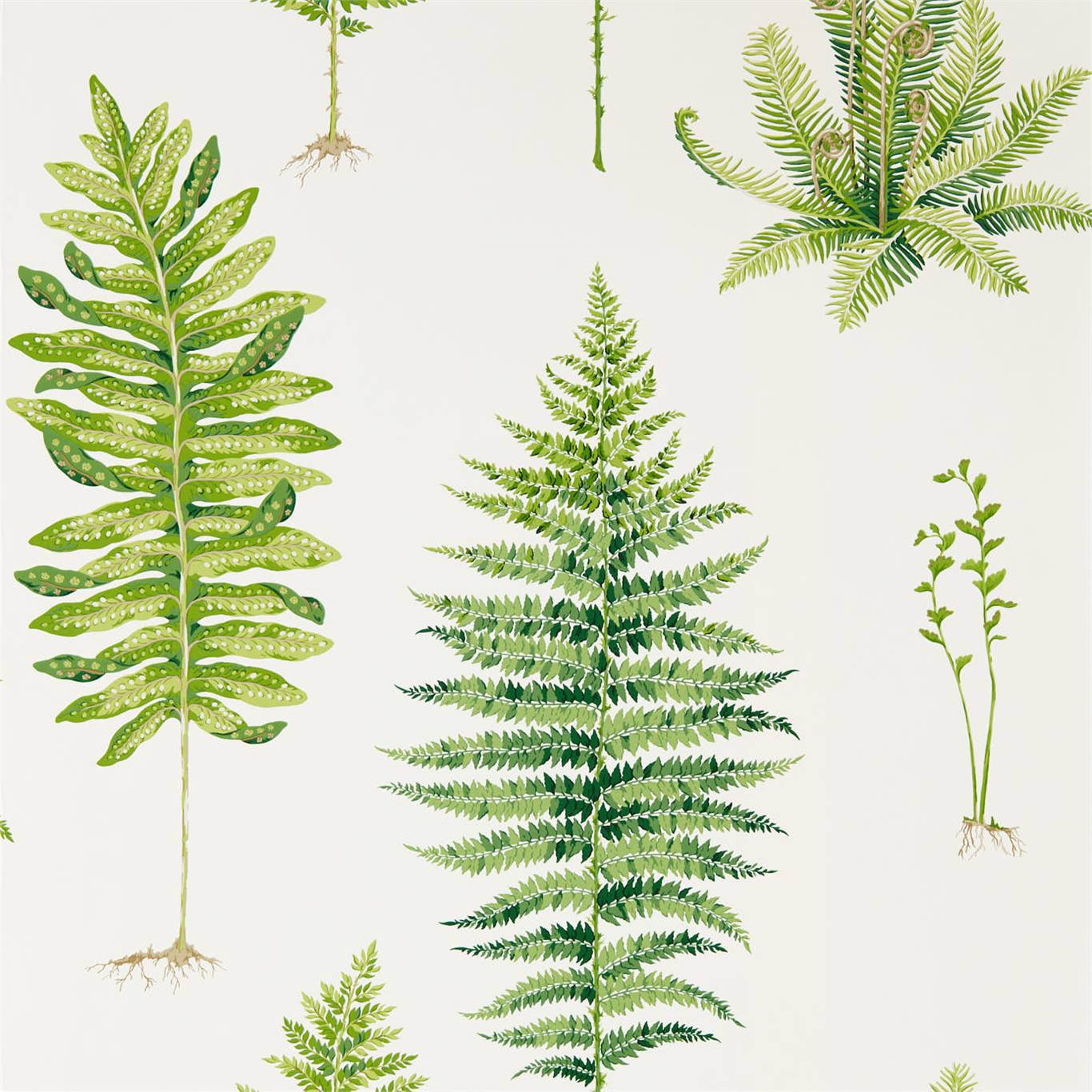 Fernery Wallpaper - Botanical Green - DGLW216633