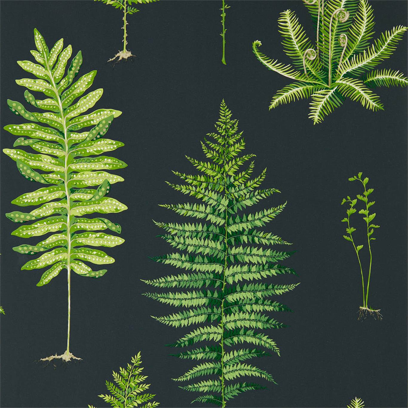 Fernery Wallpaper - Botanical Green/Charcoal - DGLW216634