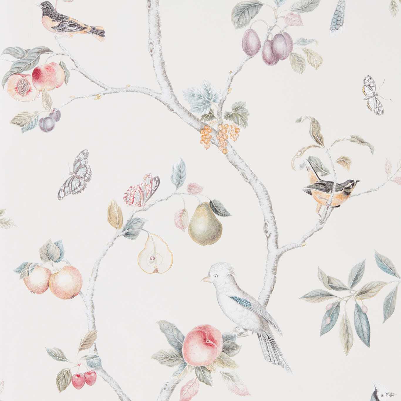 Fruit Aviary Wallpaper - Cream/Multi - DART216314