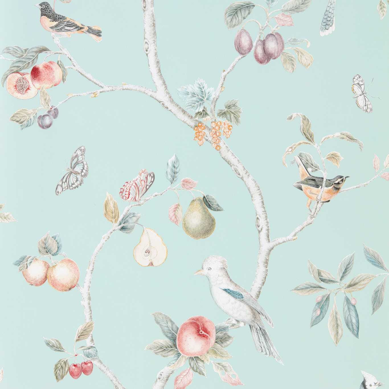 Fruit Aviary Wallpaper - Duck Egg/Multi - DART216312
