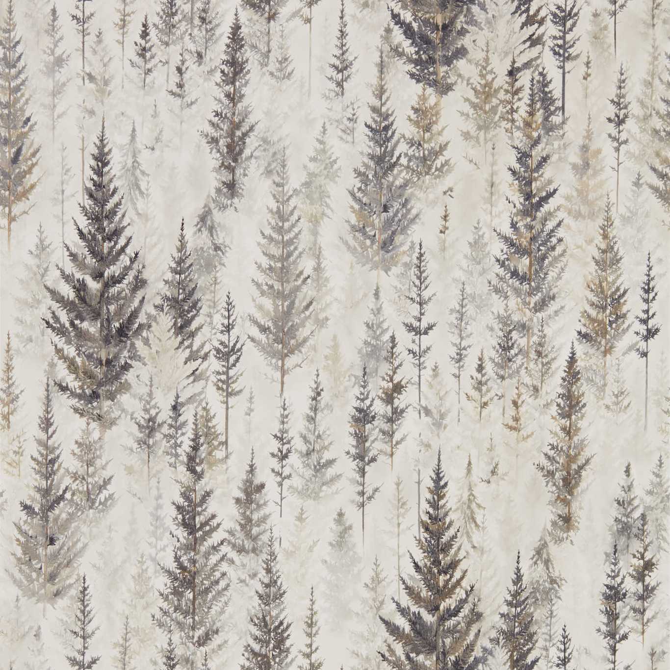 Juniper Pine Wallpaper - Elder Bark - DYSI216621