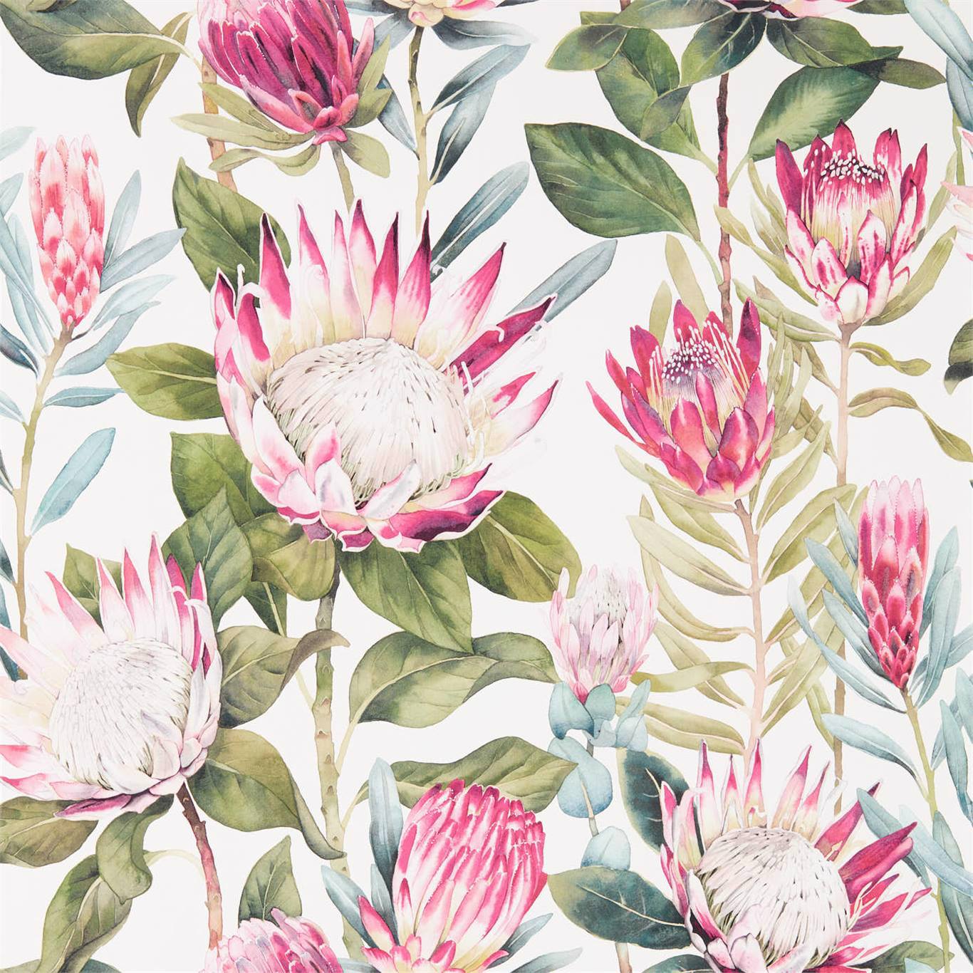 King Protea Wallpaper - Rhodera/Cream - DGLW216646