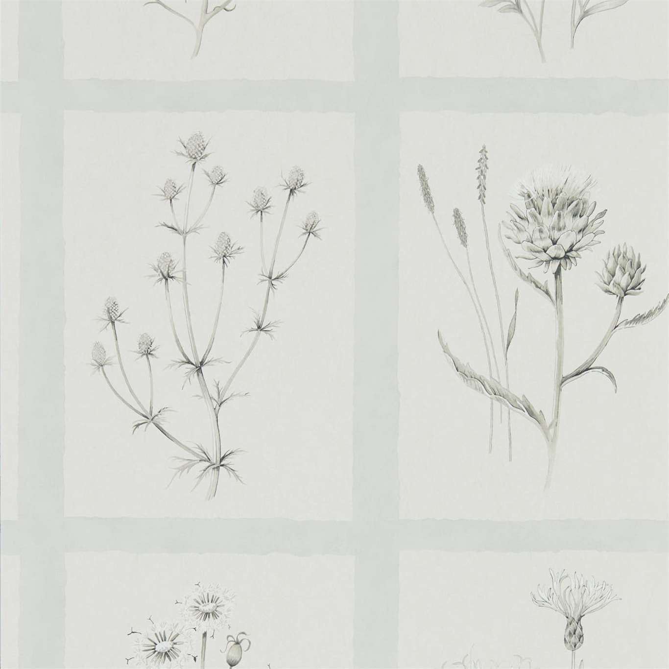 Little Thistles Wallpaper - Grey Blue - DEBB216513