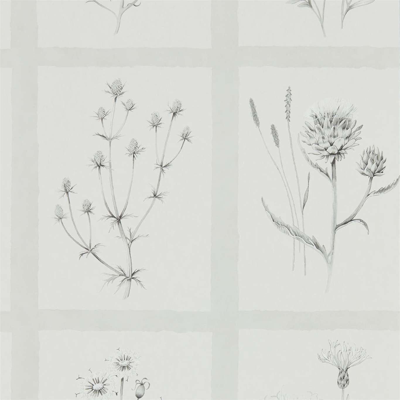 Little Thistles Wallpaper - Pewter - DEBB216512