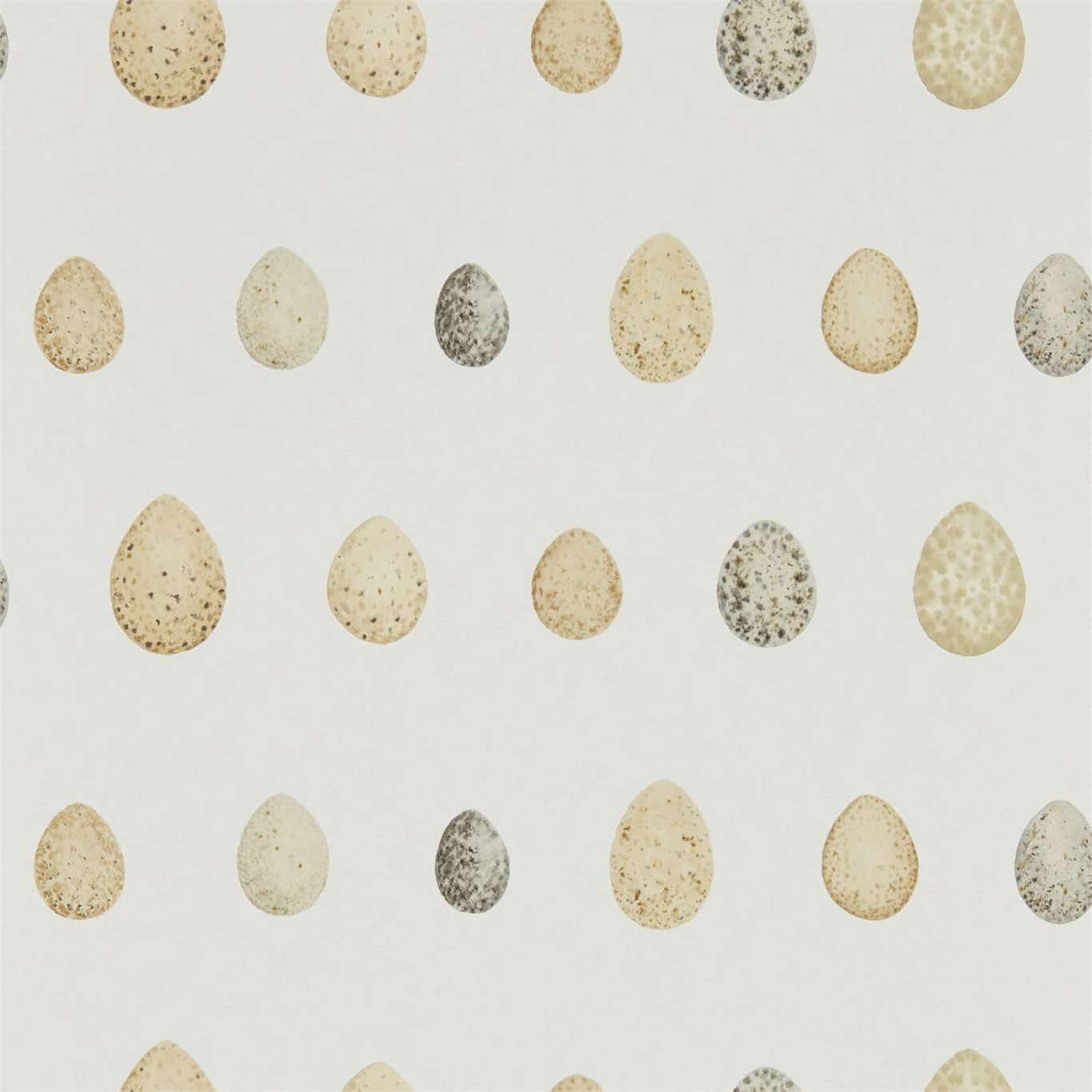 Nest Egg Wallpaper - Corn Graphite - DEBB216505