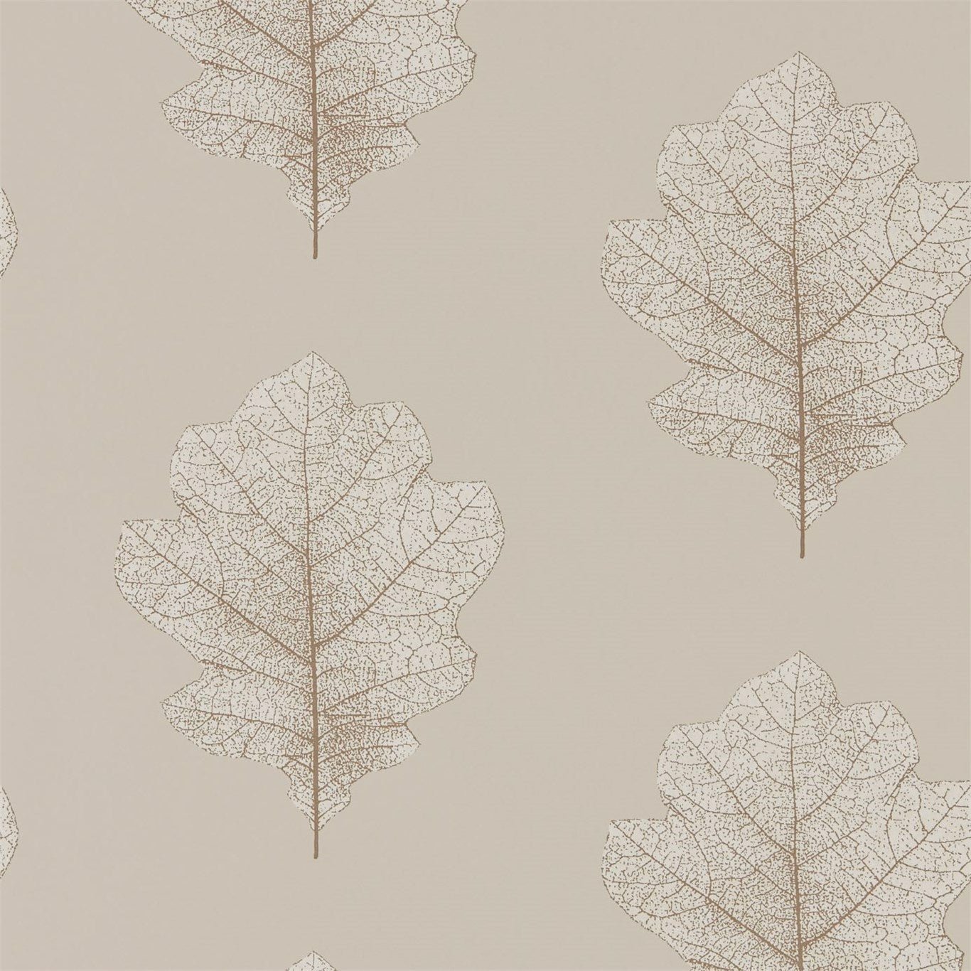 Oak Filigree Wallpaper - Stone/Gilver - DWOW215698