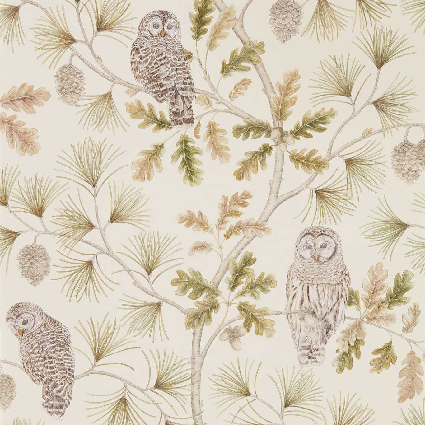 Owlswick Wallpaper - Briarwood - DYSI216597