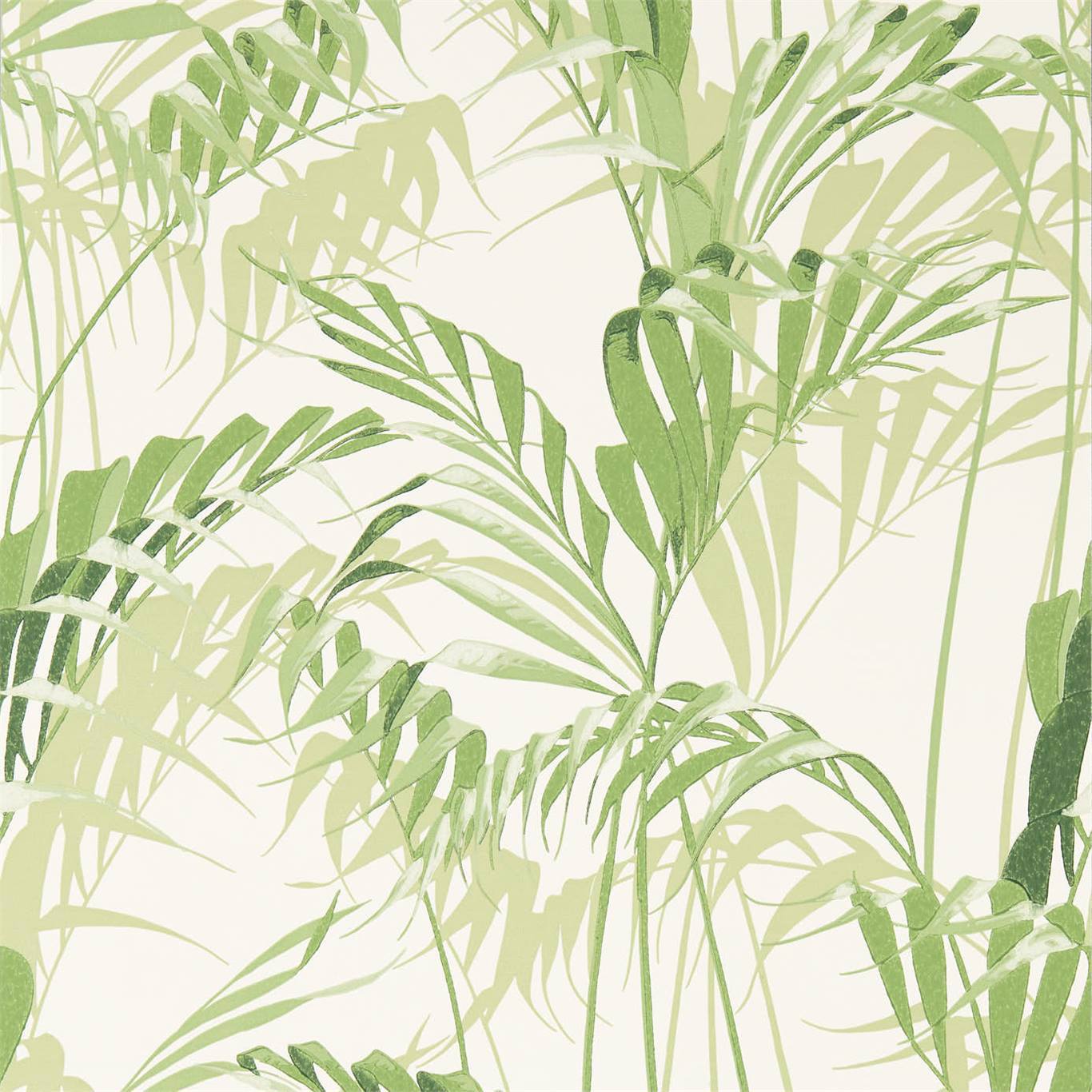 Palm House Wallpaper - Botanical Green - DGLW216643
