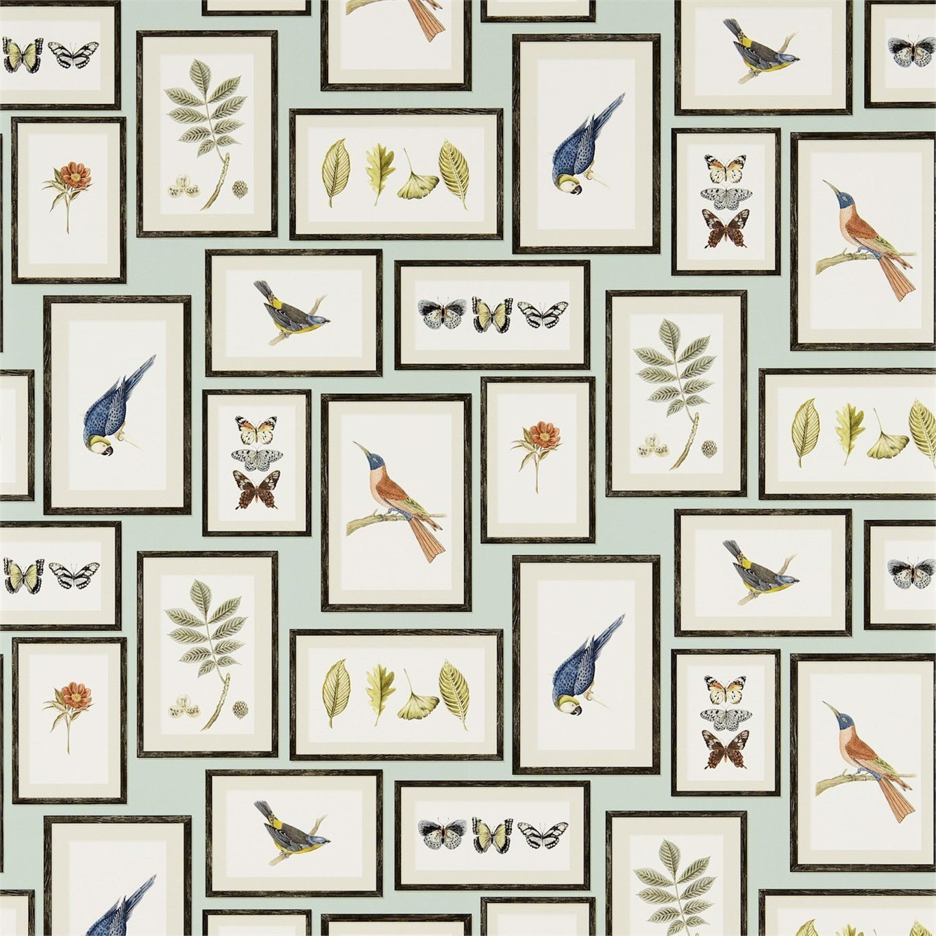Picture Gallery Wallpaper - Aqua/Multi - DVOY213400