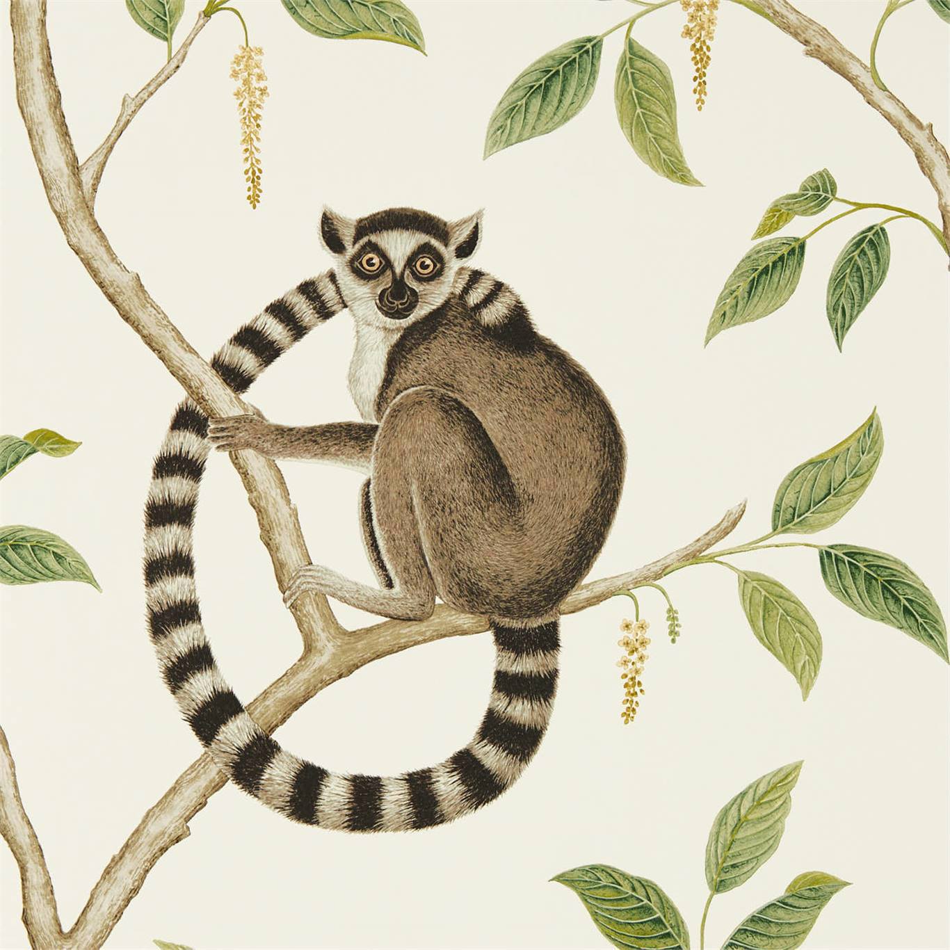 Ringtailed Lemur Wallpaper - Cream/Olive - DGLW216664