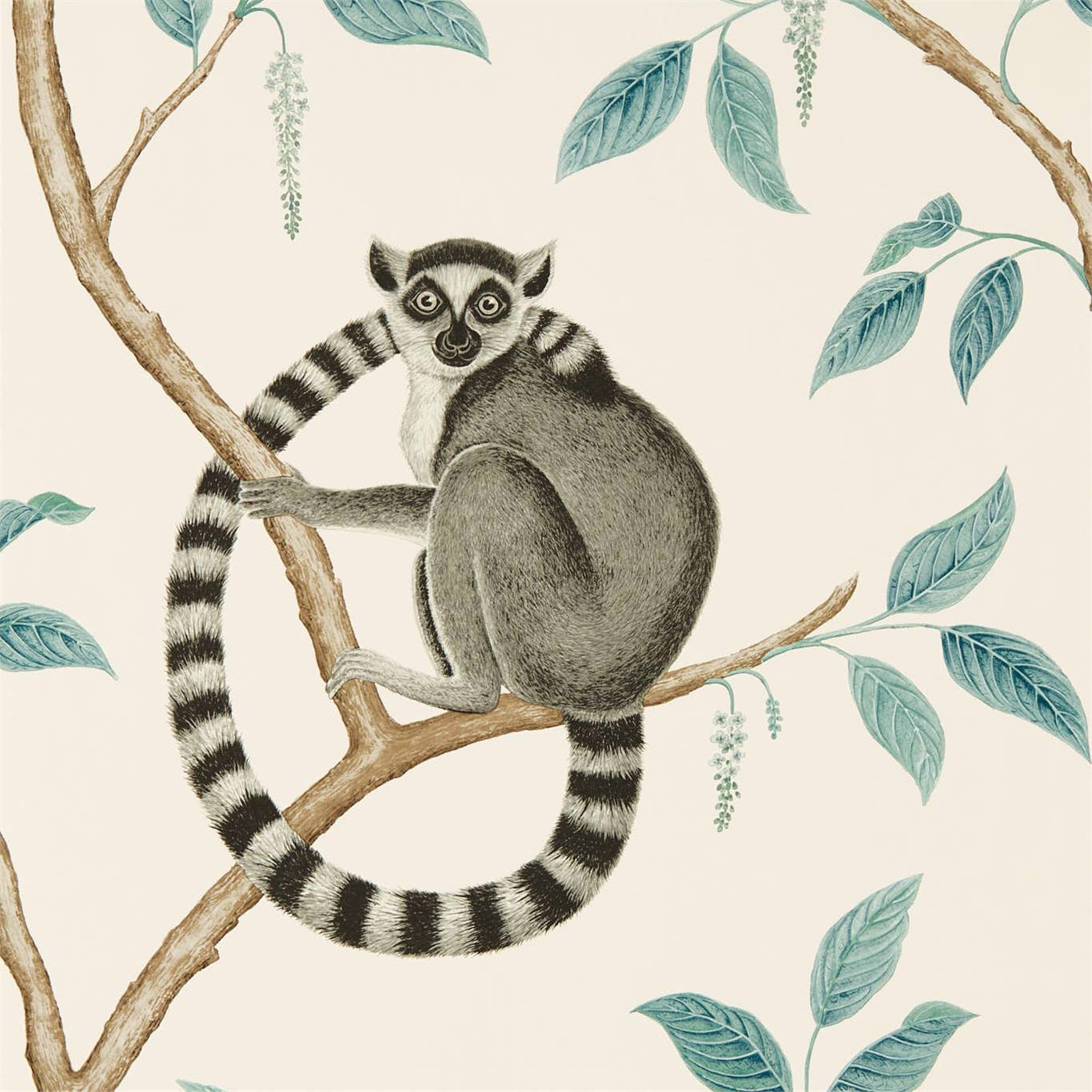 Ringtailed Lemur Wallpaper - Stone/Eucalyptus - DGLW216665