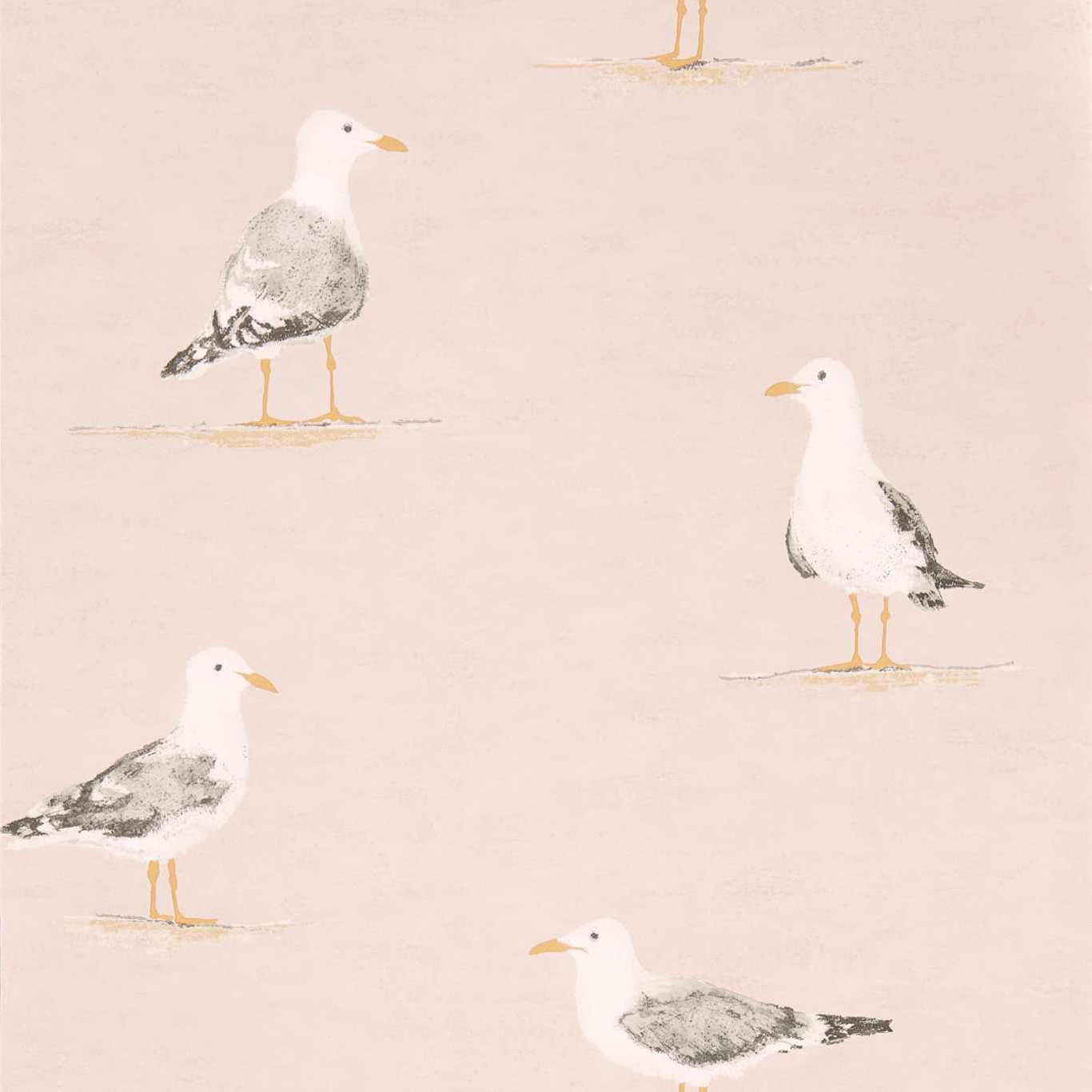 Shore Birds Wallpaper - Blush - DCOA216562