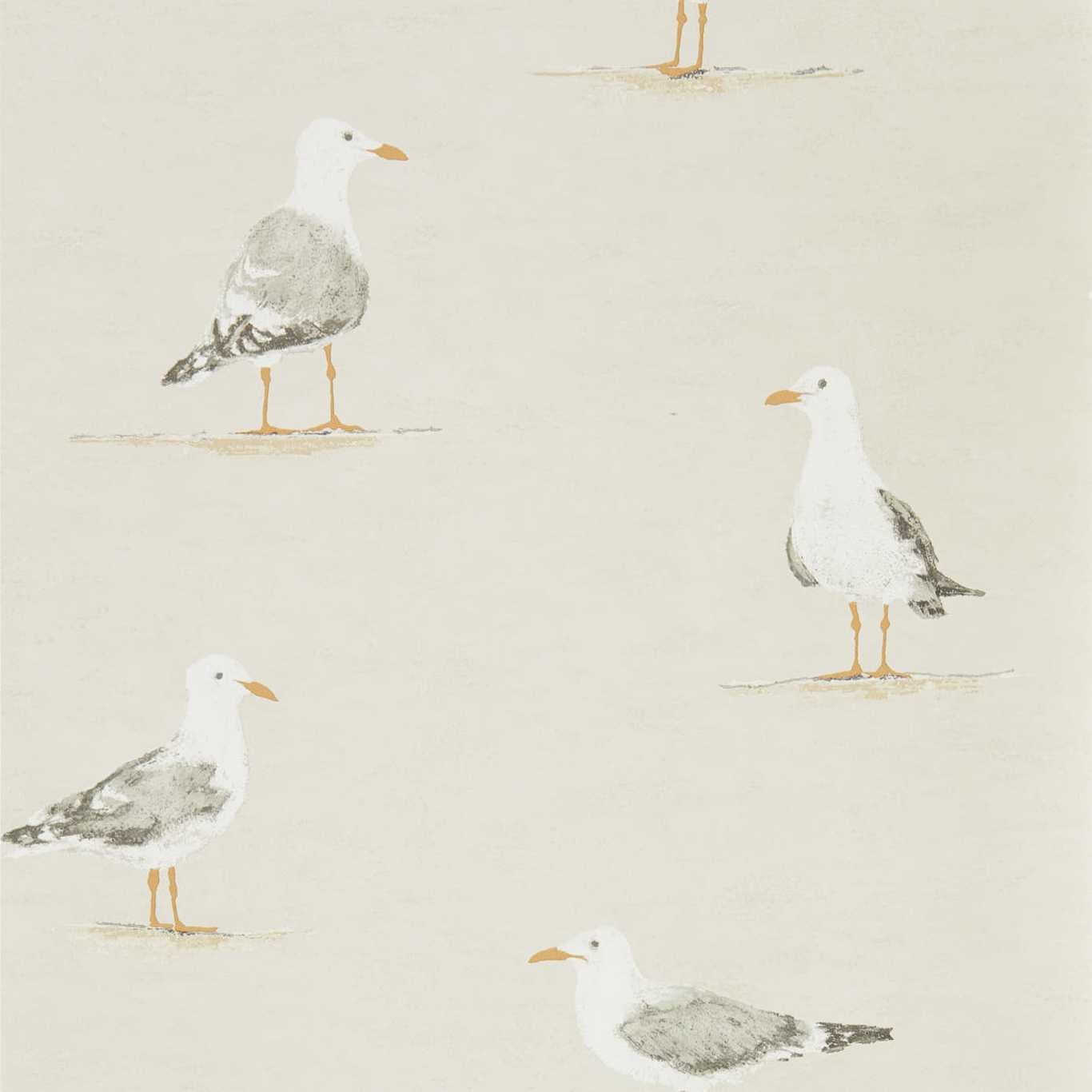 Shore Birds Wallpaper - Driftwood - DCOA216563