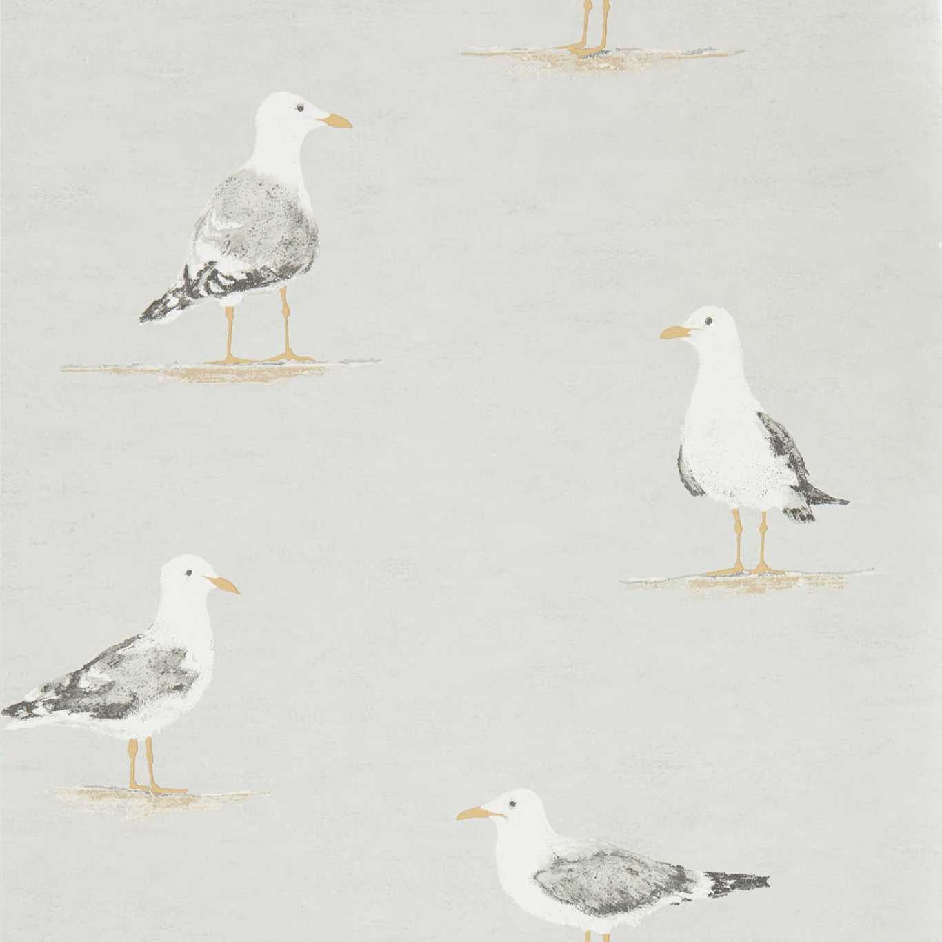 Shore Birds Wallpaper - Gull - DCOA216565