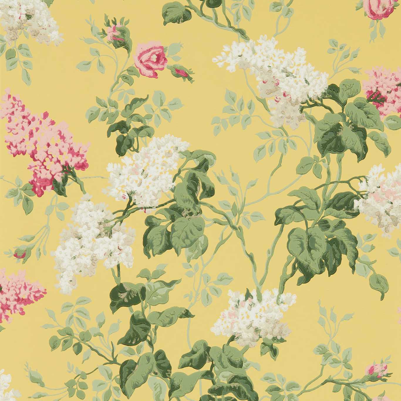 Sommerville Wallpaper - Carmen/Daffodil - DOSW217051