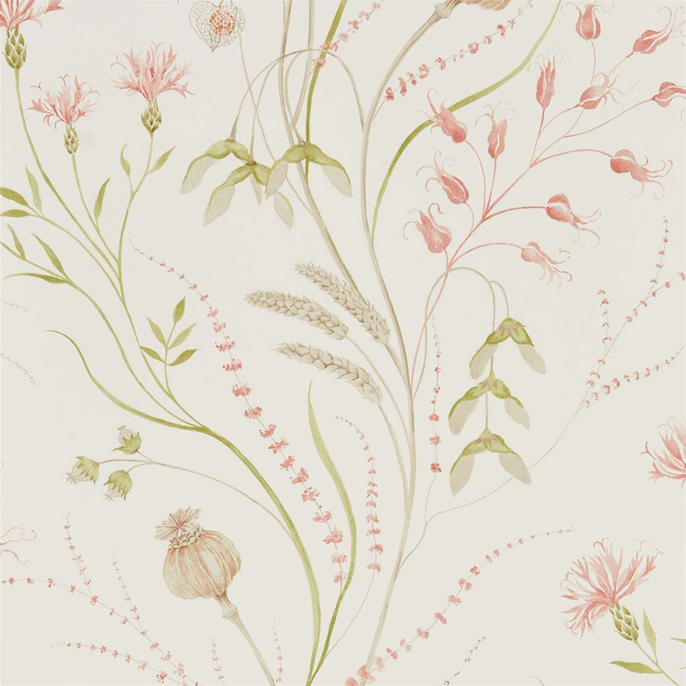 Summer Harvest Wallpaper - Claret/Olive - DEBB216495