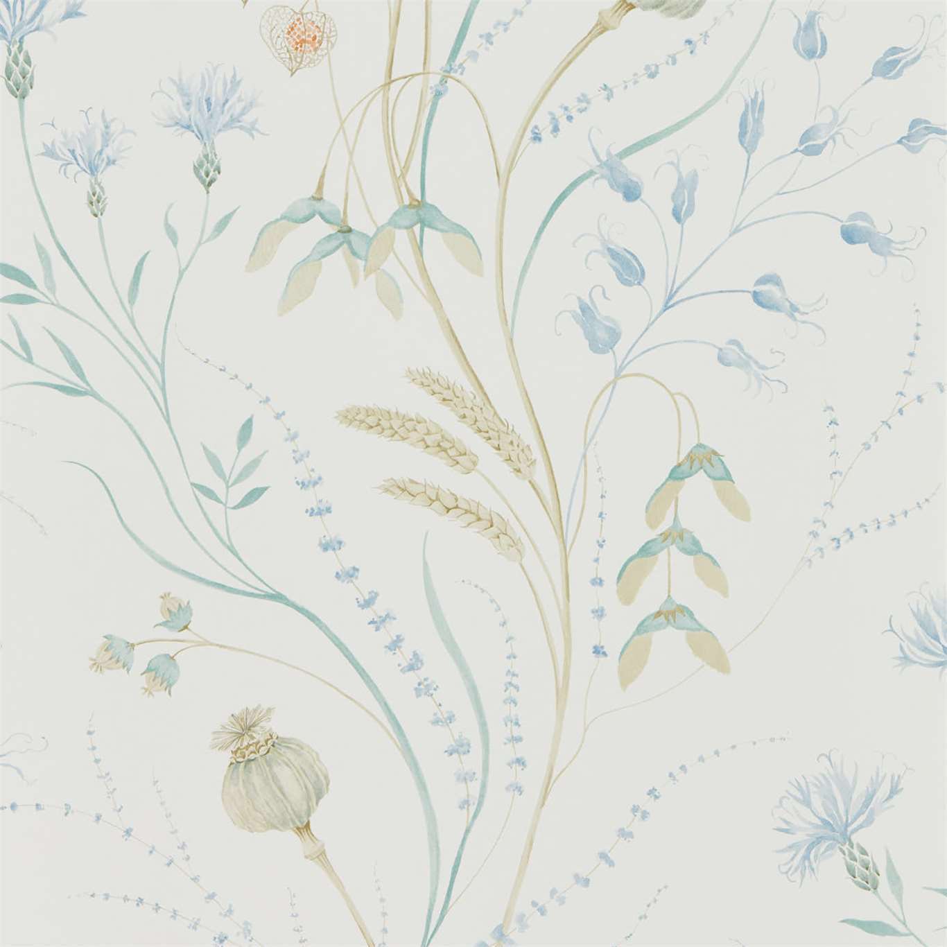 Summer Harvest Wallpaper - Cornflower/Wheat - DEBB216496