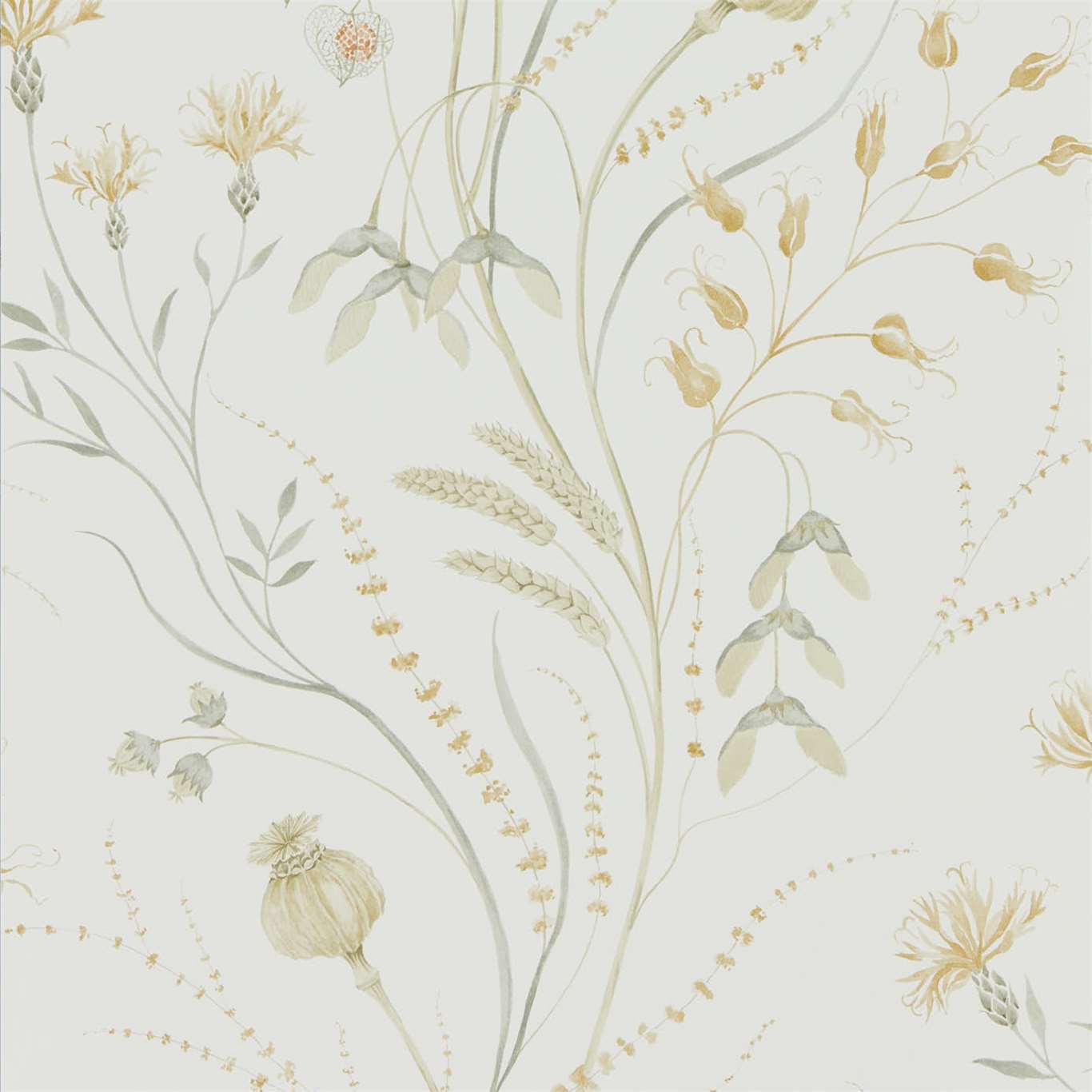 Summer Harvest Wallpaper - Silver Corn - DEBB216497