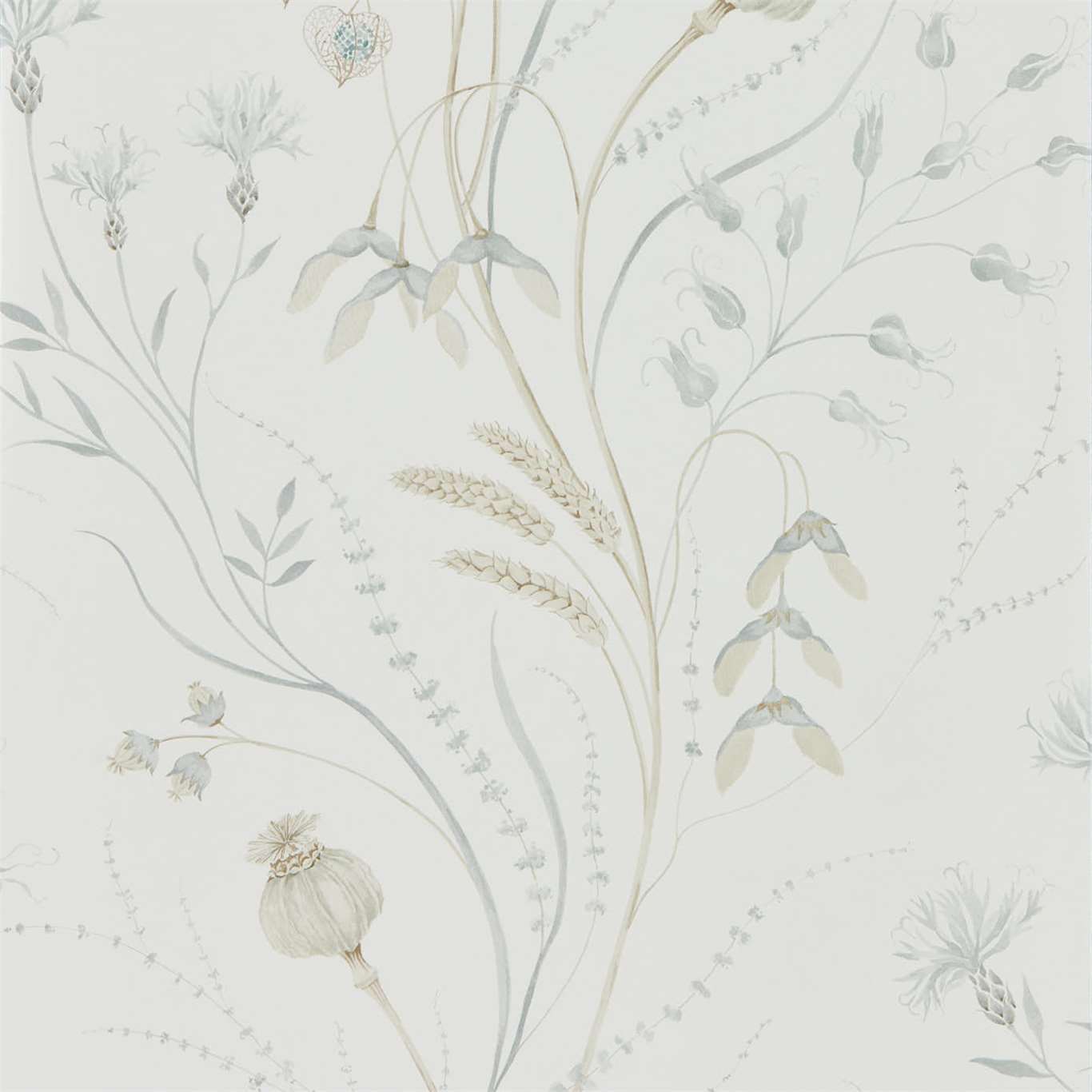 Summer Harvest Wallpaper - Silver/Chalk - DEBB216498