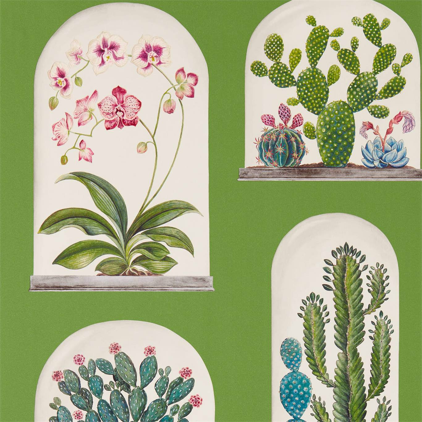 Terrariums Wallpaper - Botanical Green/Multi - DGLW216656