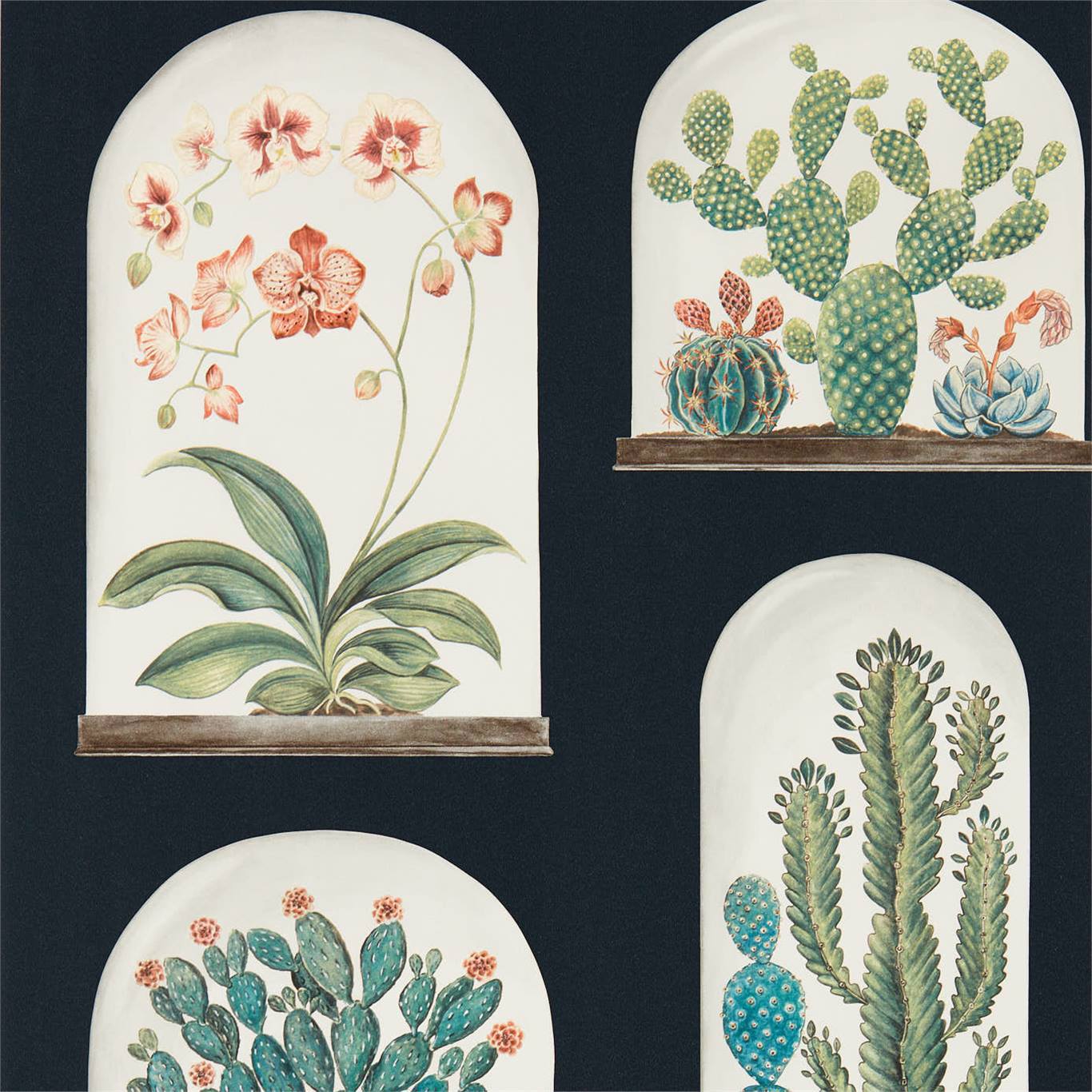 Terrariums Wallpaper - Ink/Multi - DGLW216658