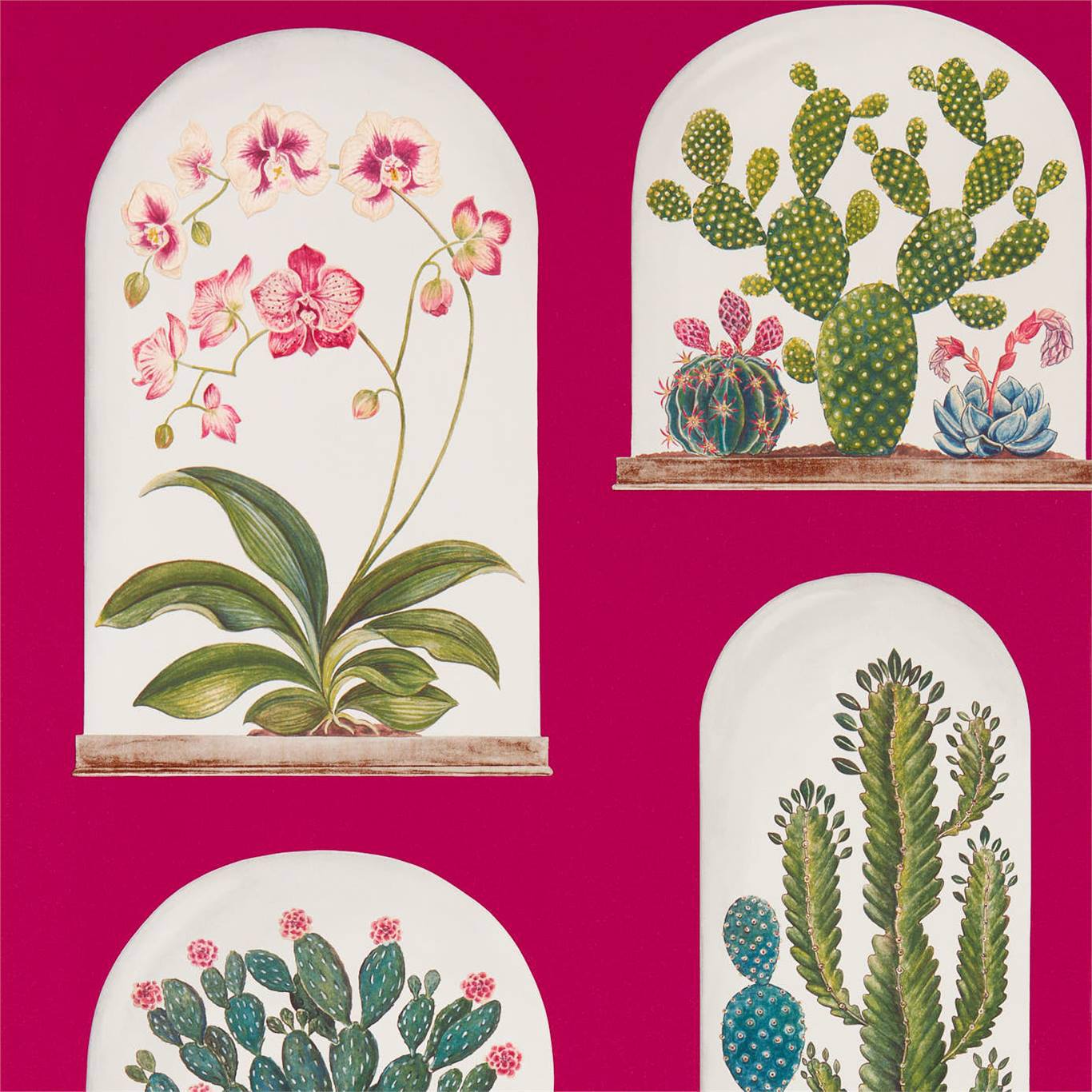 Terrariums Wallpaper - Rhodera/Multi - DGLW216657