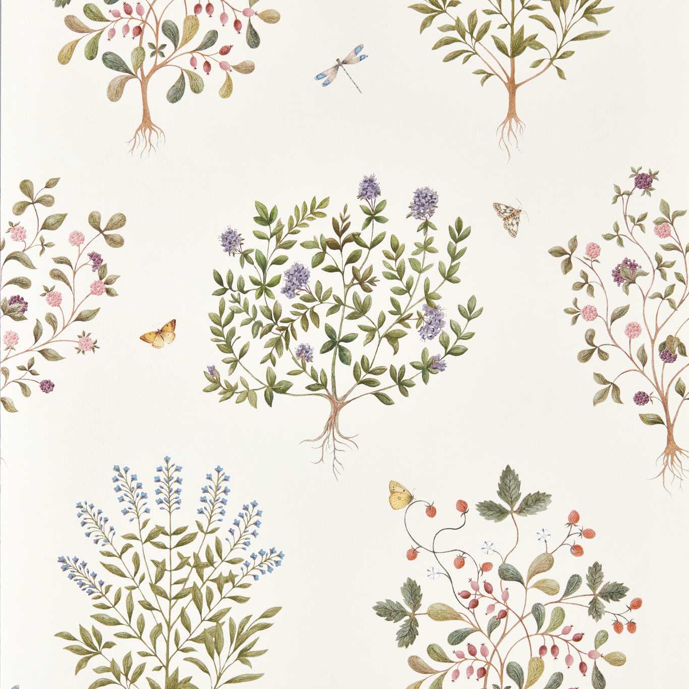 Thyme Walk Wallpaper - Damson/Quince - DHIP217509
