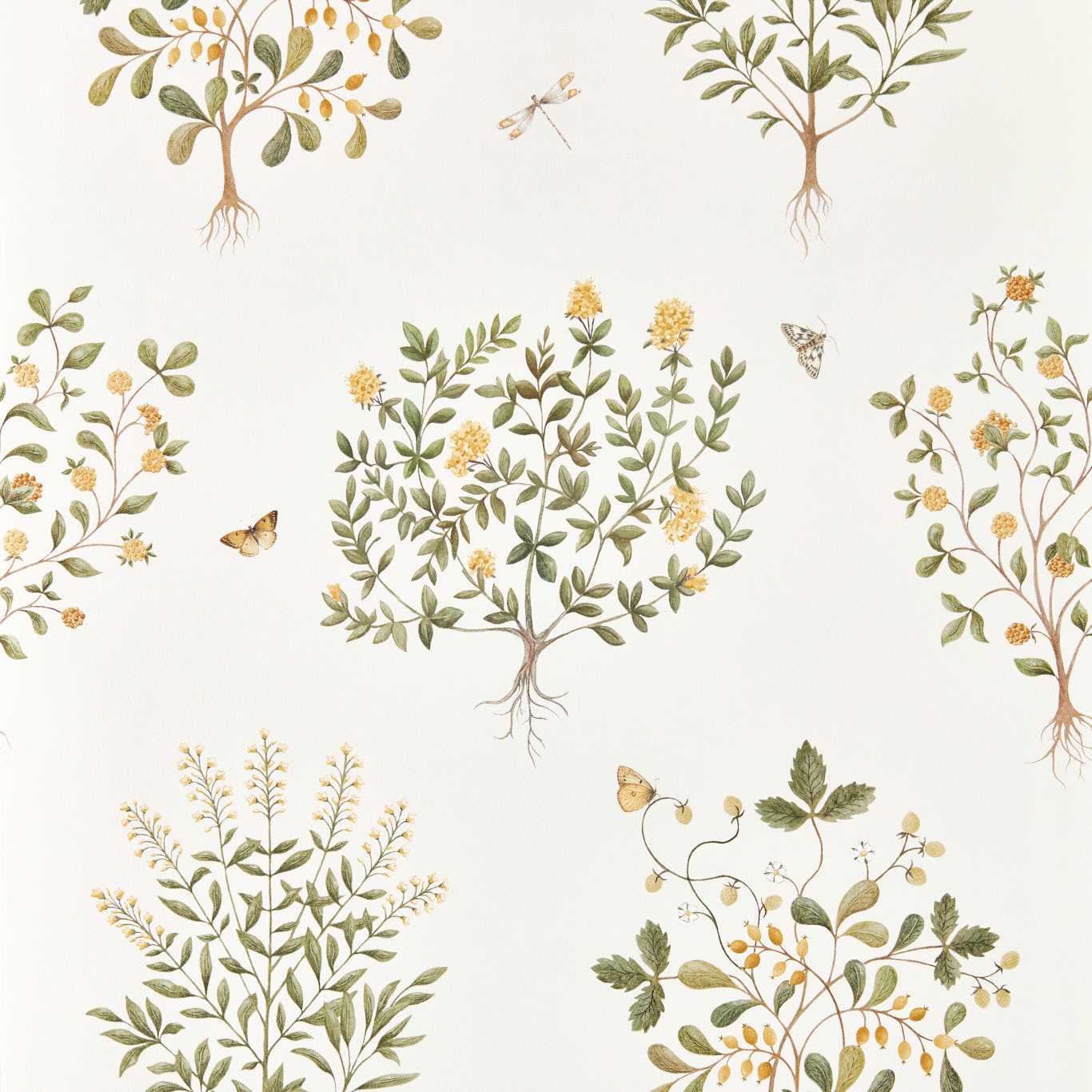 Thyme Walk Wallpaper - Lichen/Gooseberry - DHIP217508